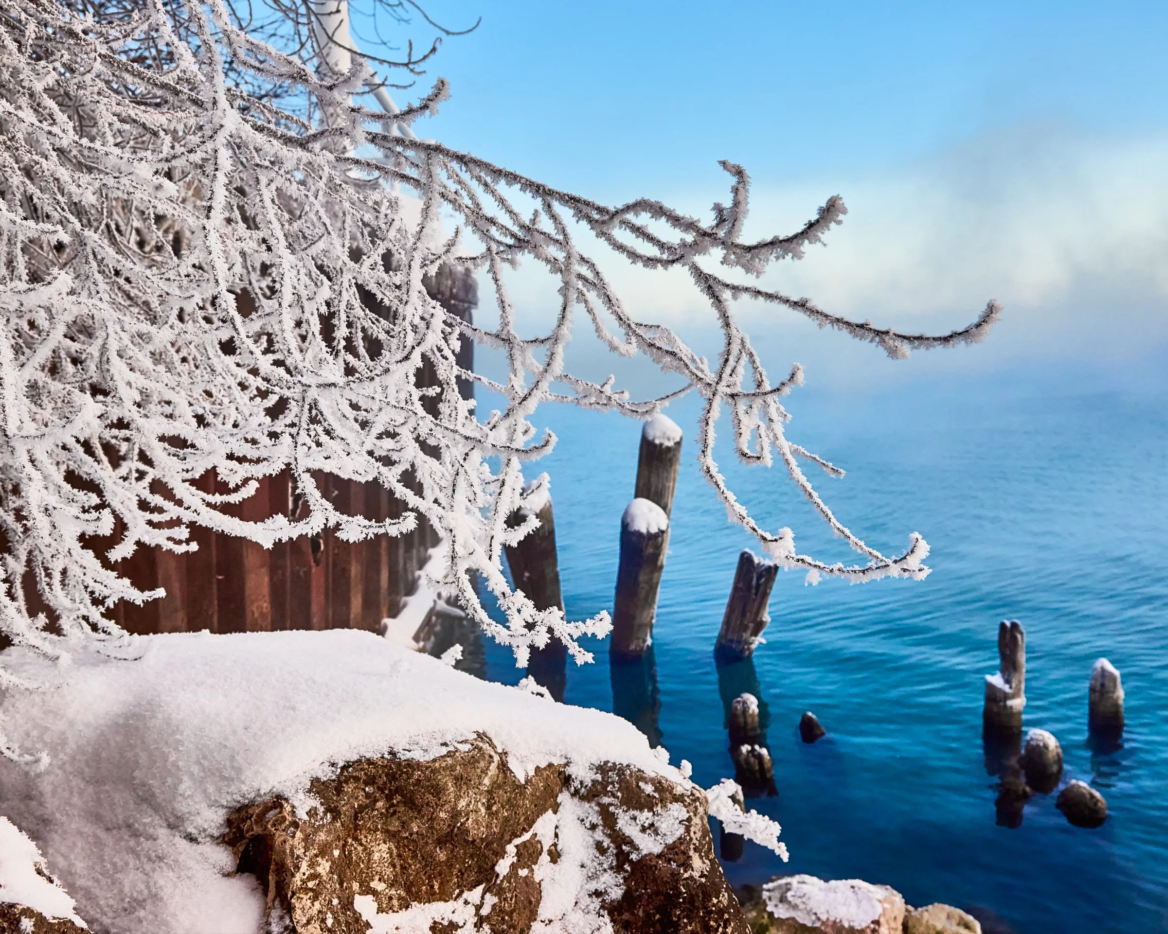 Wisconsin-Winter's Lace-BASE-4-5-LowRes.jpg