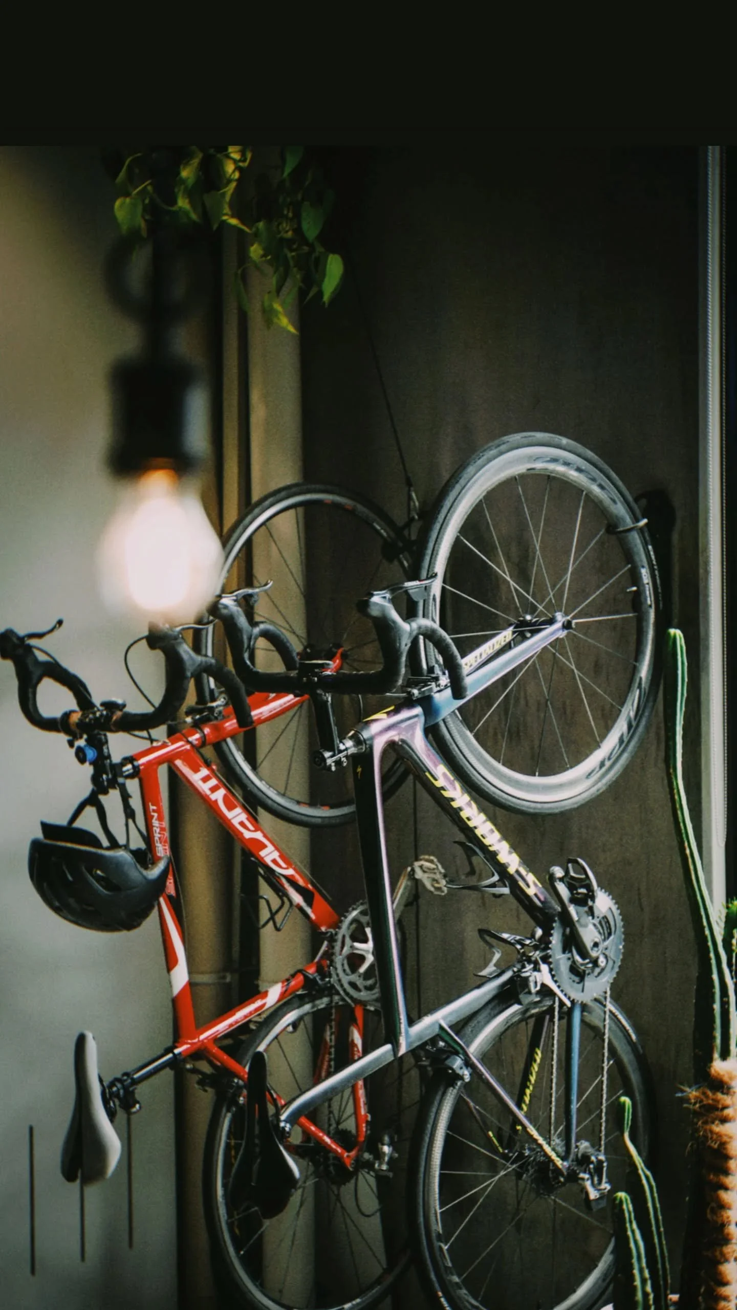How much does a Bike Fit cost in Melbourne?