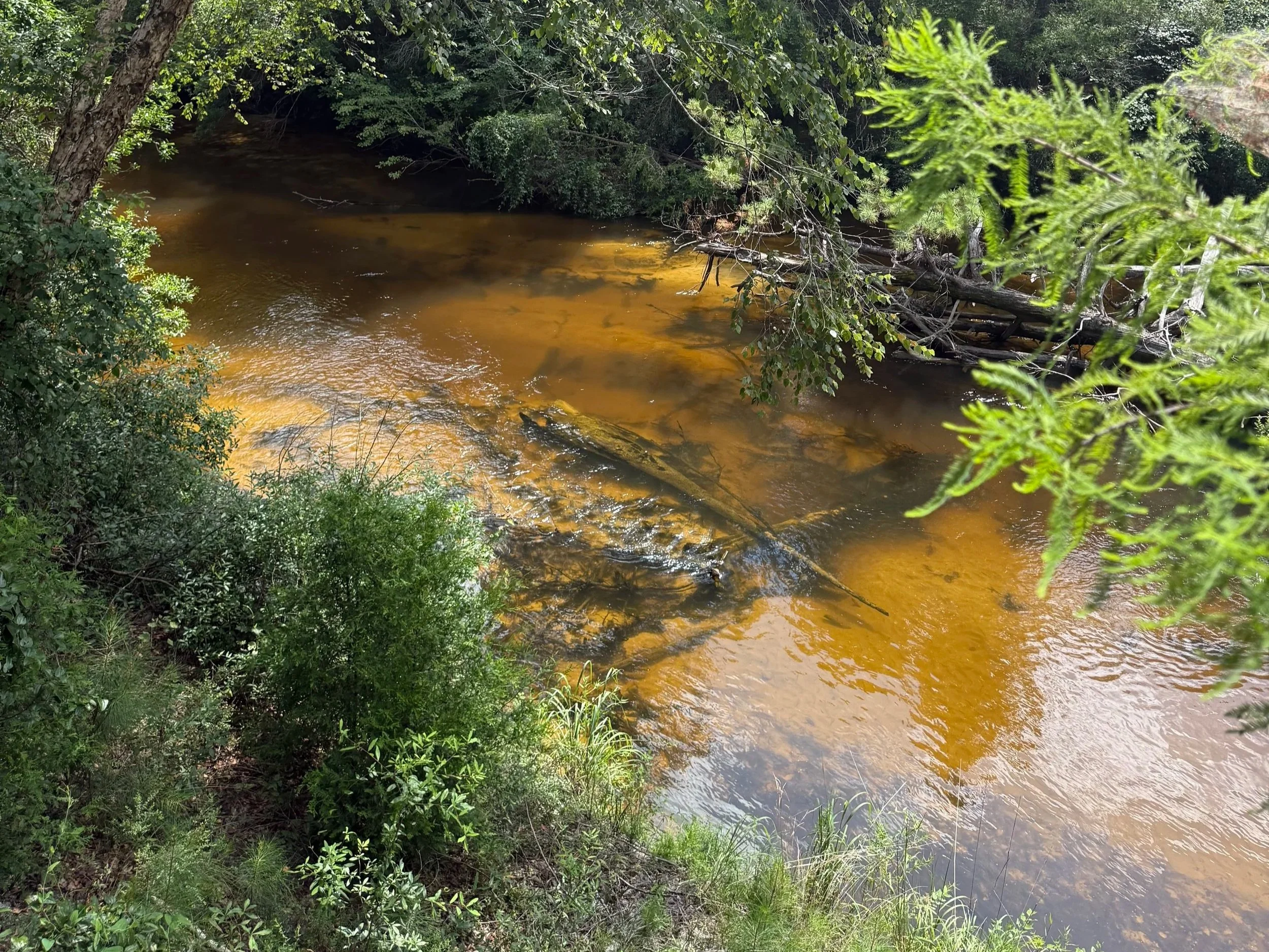 Blackwater River-Baker, FL