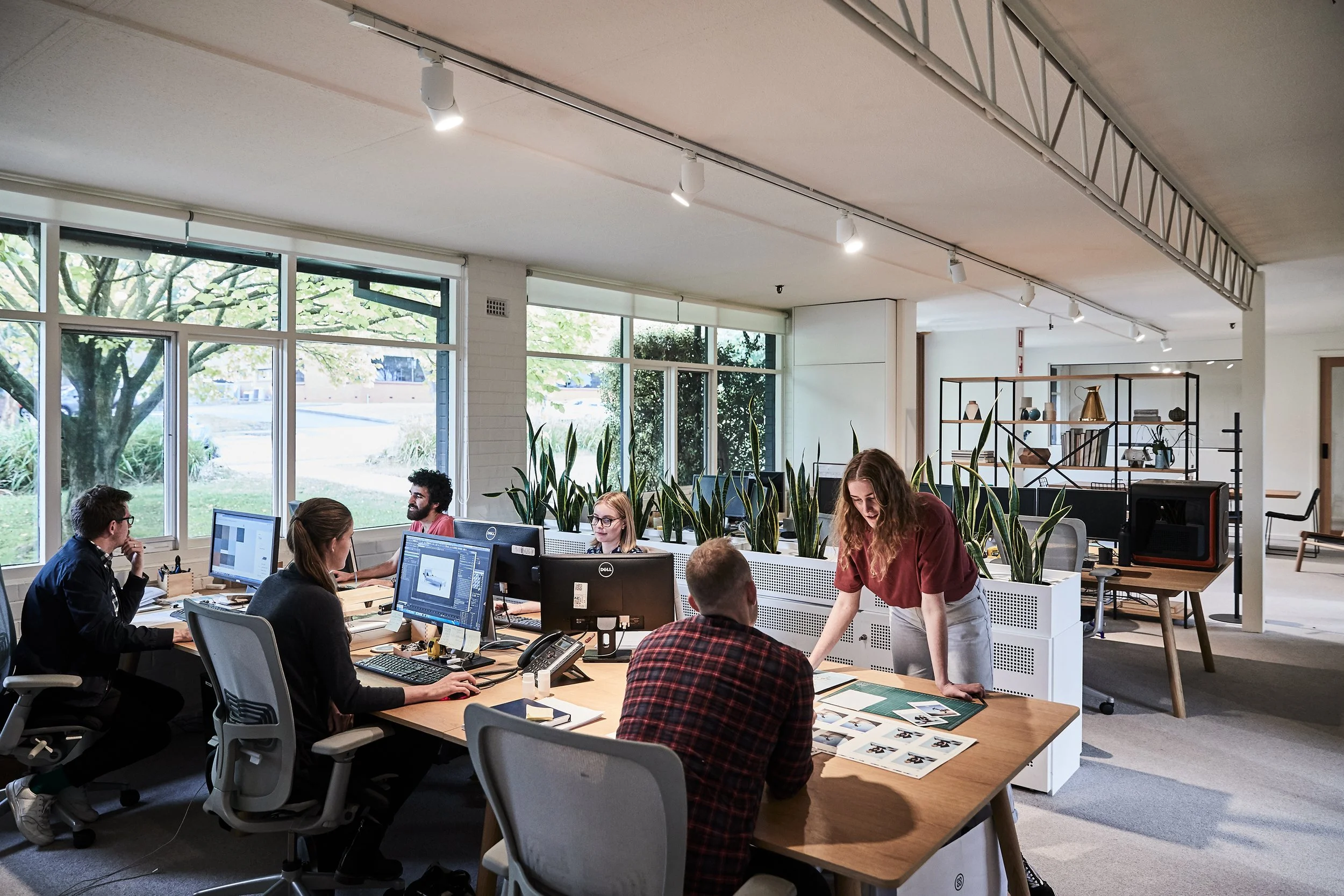 Office team collaborating at a large wooden table, working on computers and reviewing printed materials, with plants and shelves in the background.