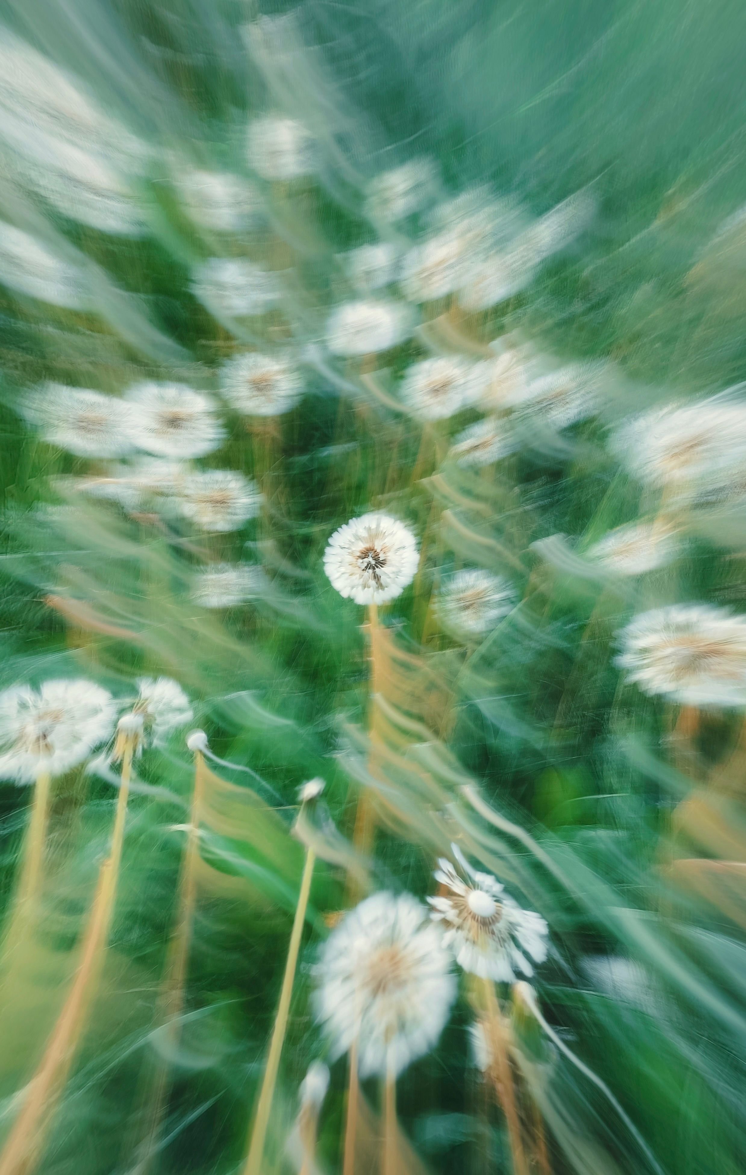 pexels-eugene-golovesov-1810803-37336020.jpg