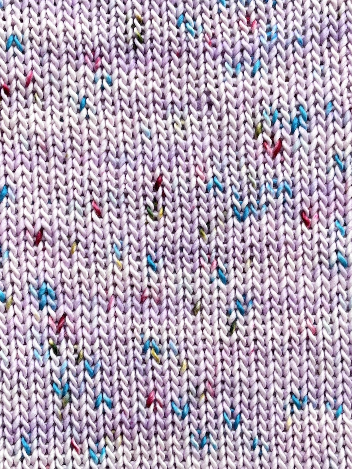 Photo Apr 07 2026, 1 08 24 PM.jpg