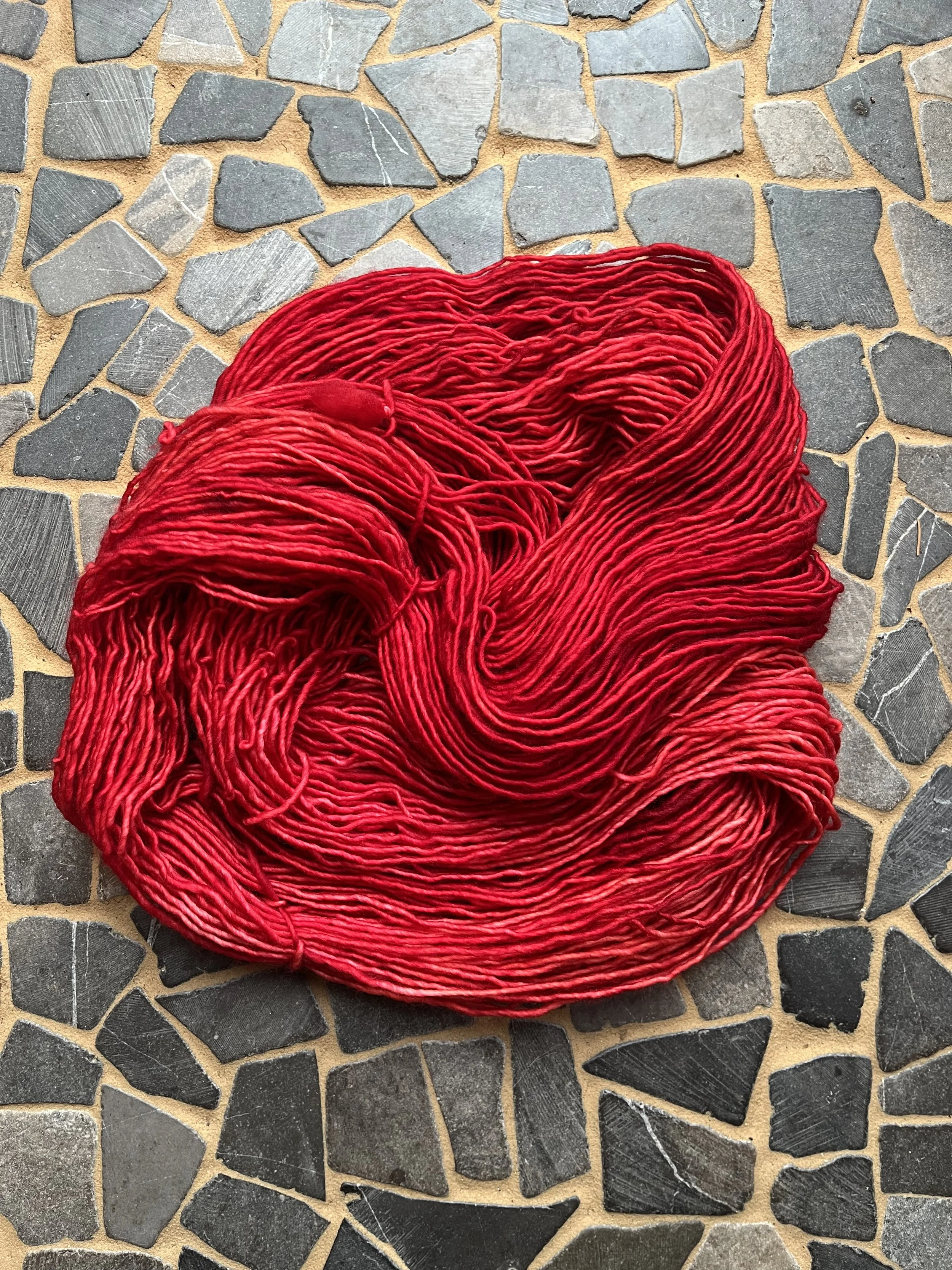 Photo Jan 29 2026, 10 39 58 AM.jpg