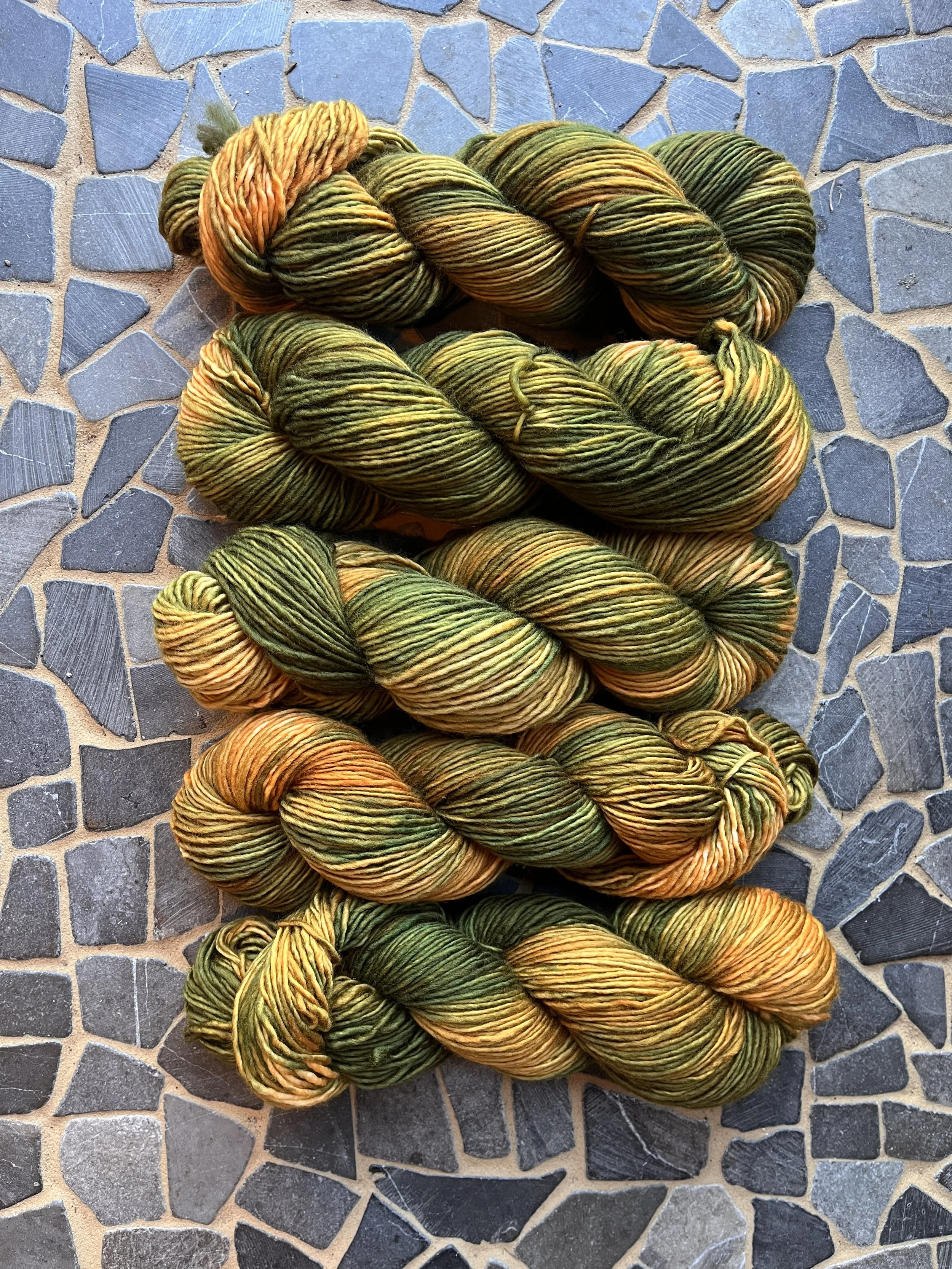 Photo Mar 27 2026, 11 24 53 AM.jpg