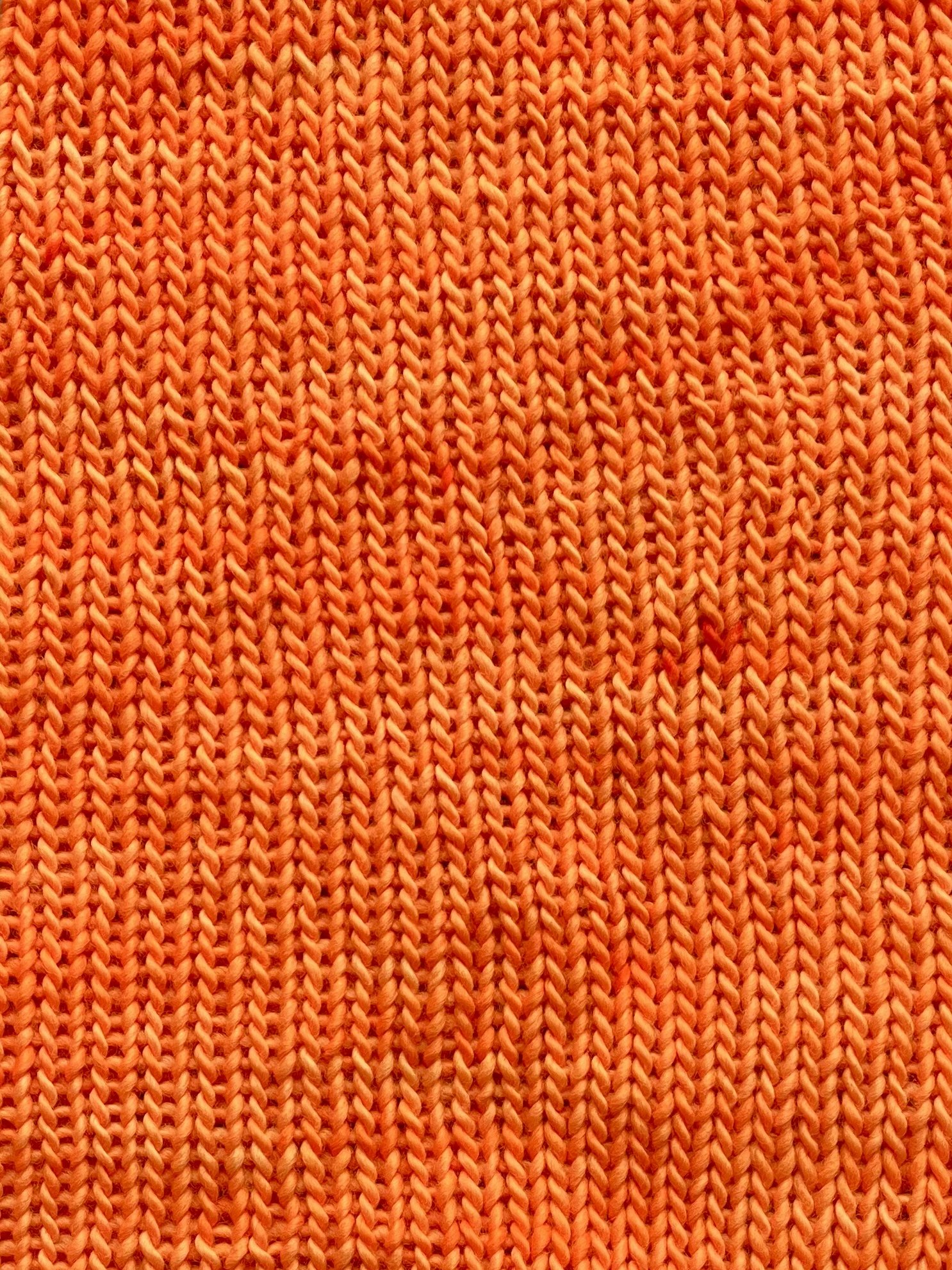 Photo Jan 29 2026, 10 53 23 AM.jpg