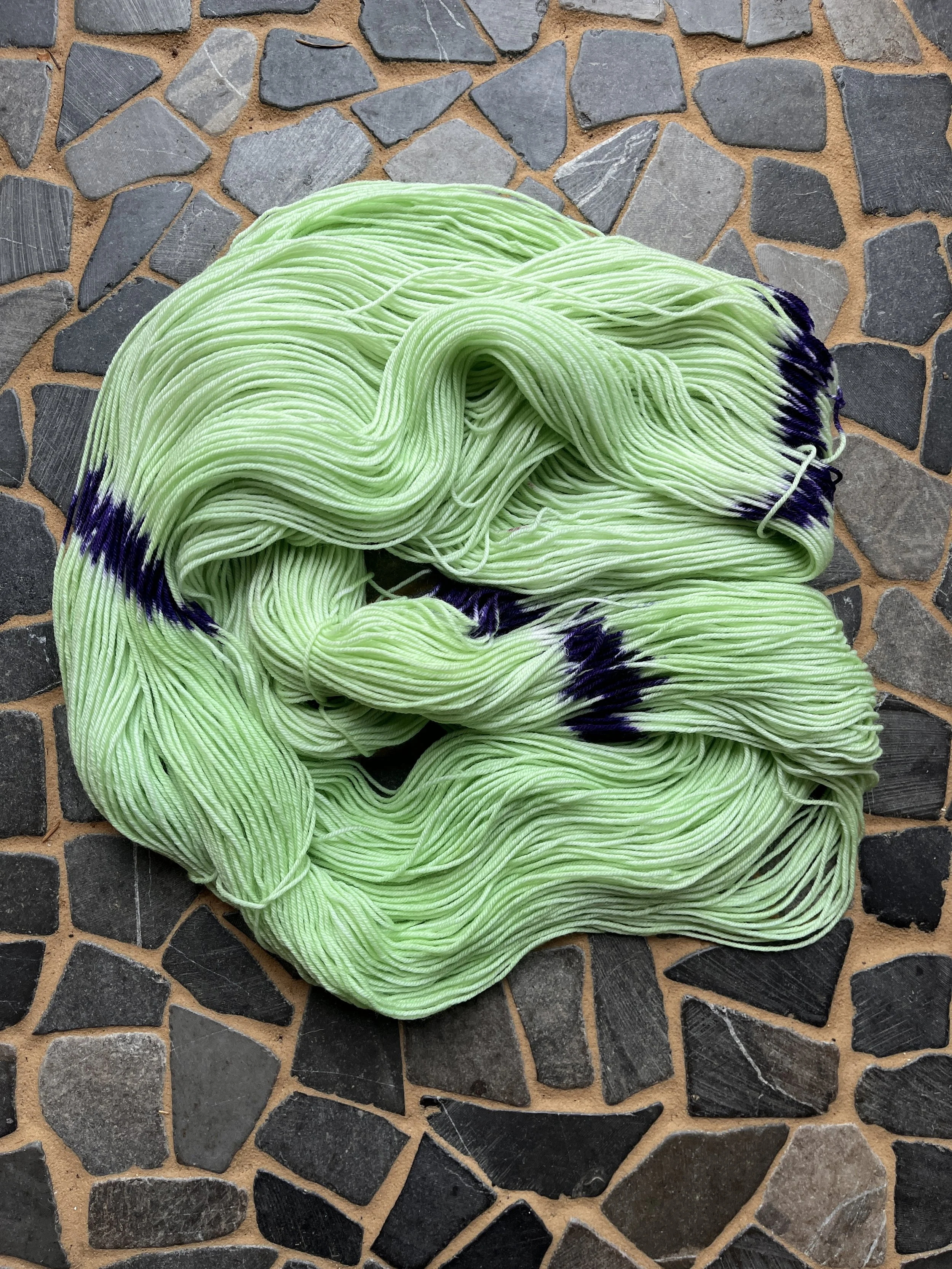 Photo Mar 04 2026, 12 42 34 PM.jpg