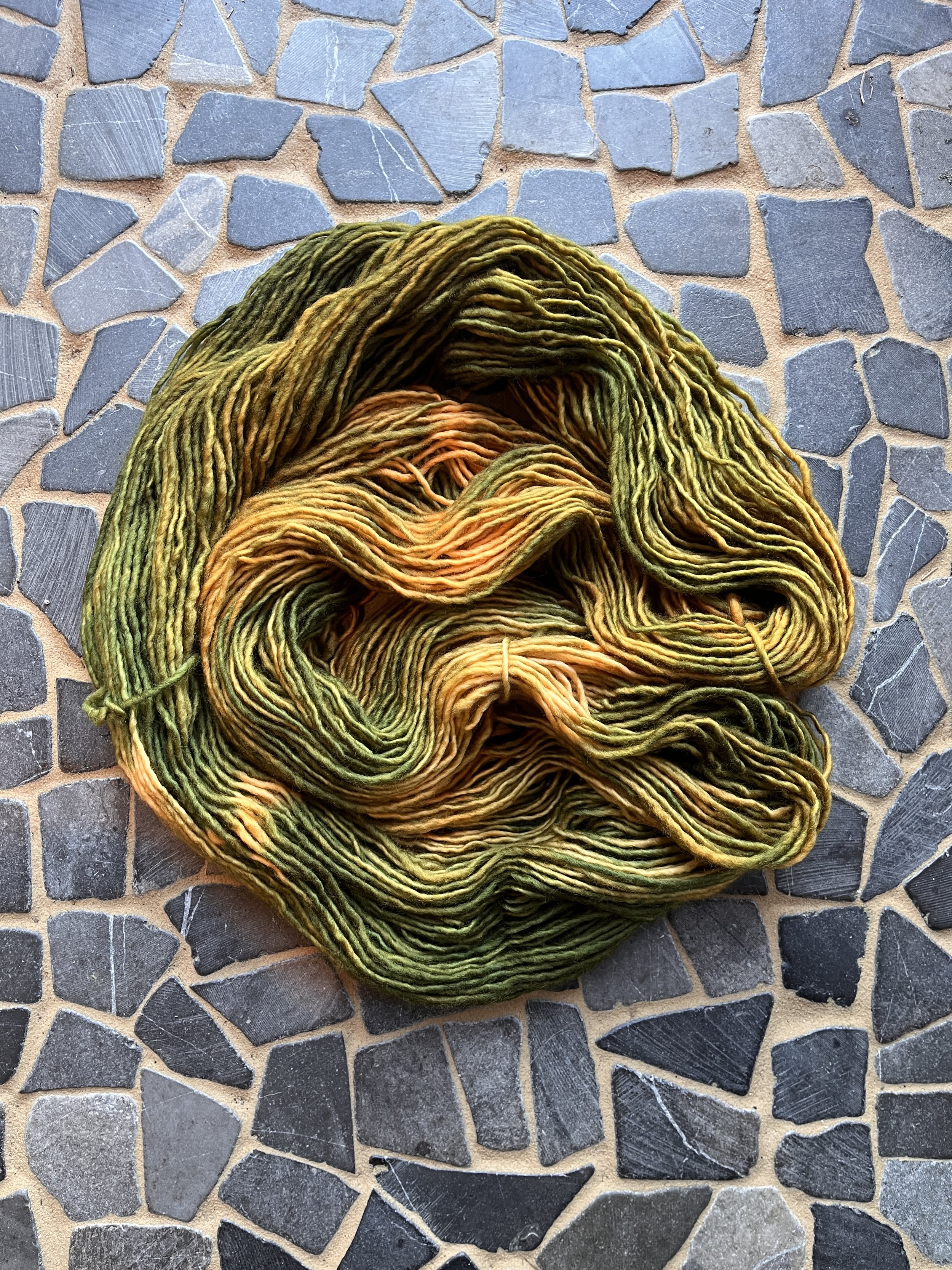 Photo Mar 27 2026, 11 20 27 AM.jpg