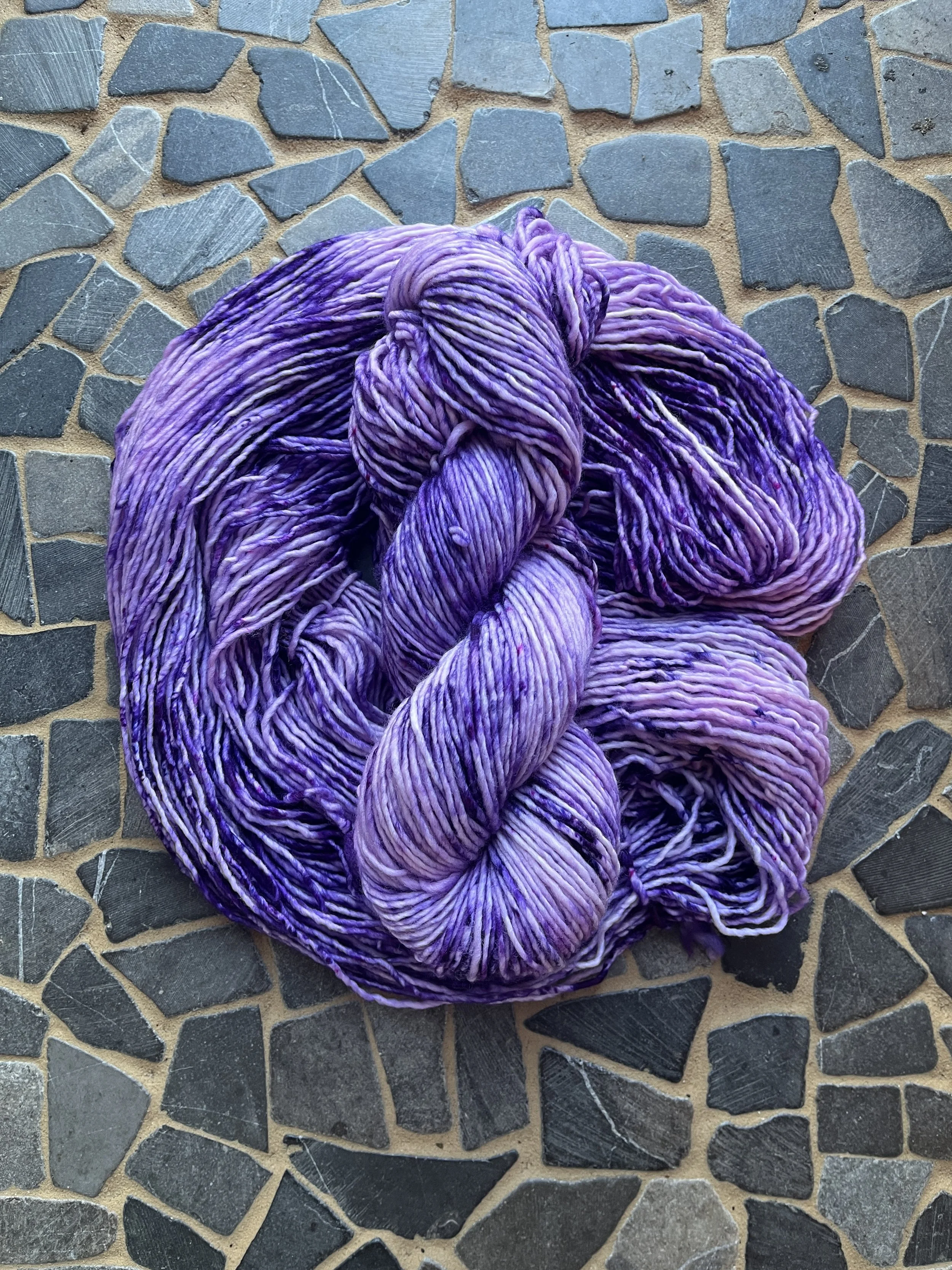 Photo Feb 25 2026, 11 59 53 AM.jpg