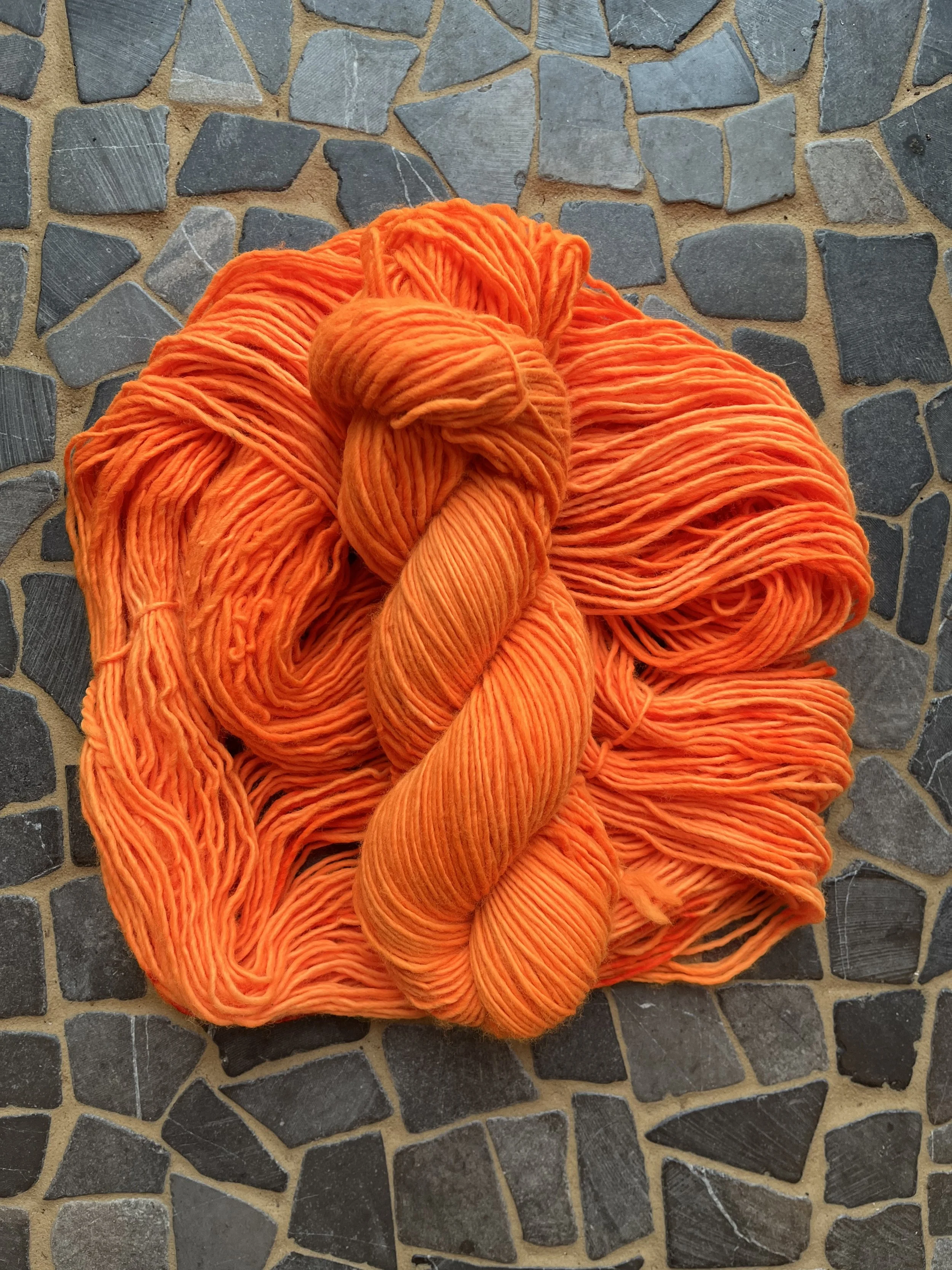 Photo Jan 29 2026, 10 27 16 AM.jpg