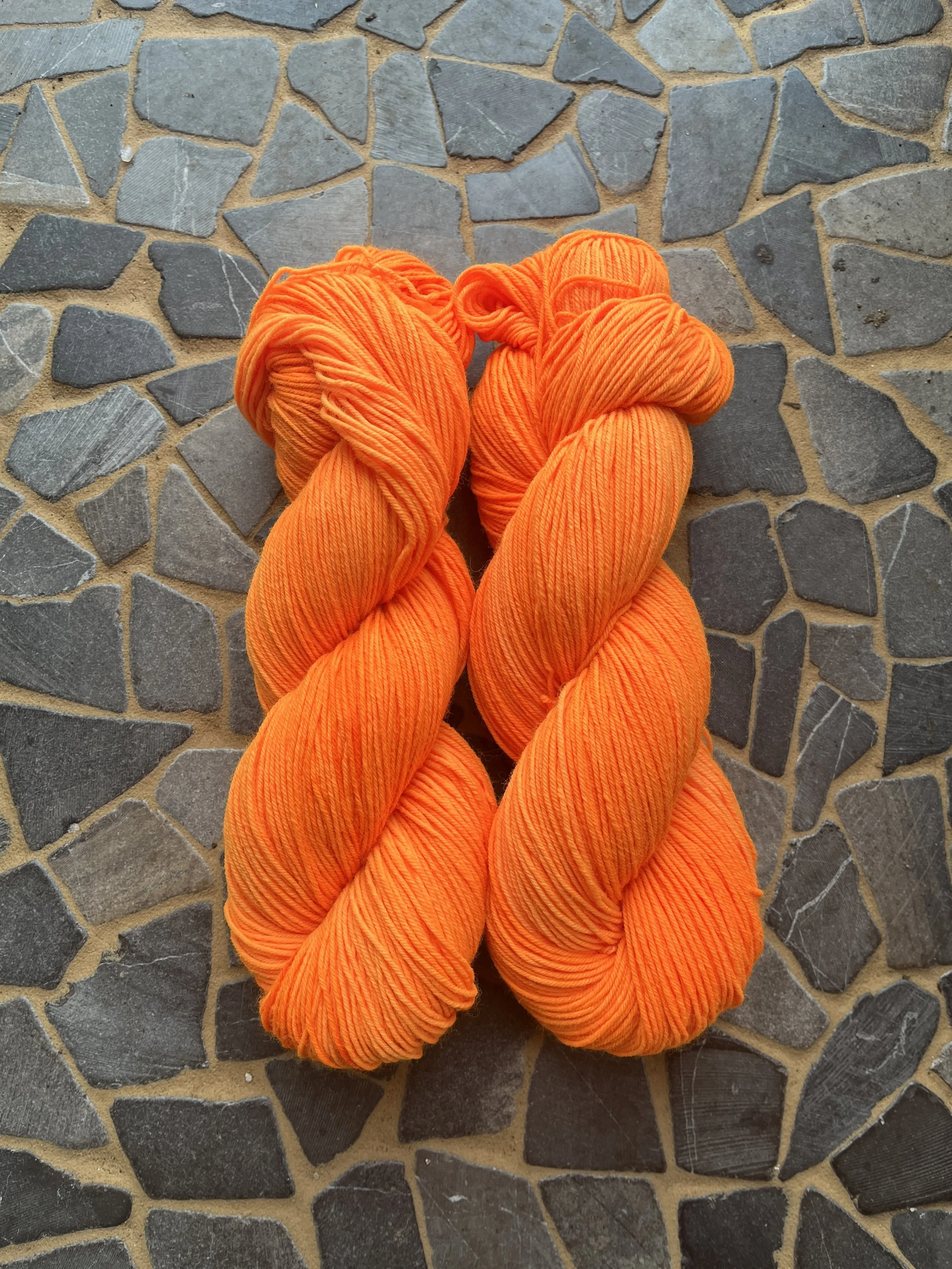 Photo Feb 24 2026, 12 16 01 PM.jpg