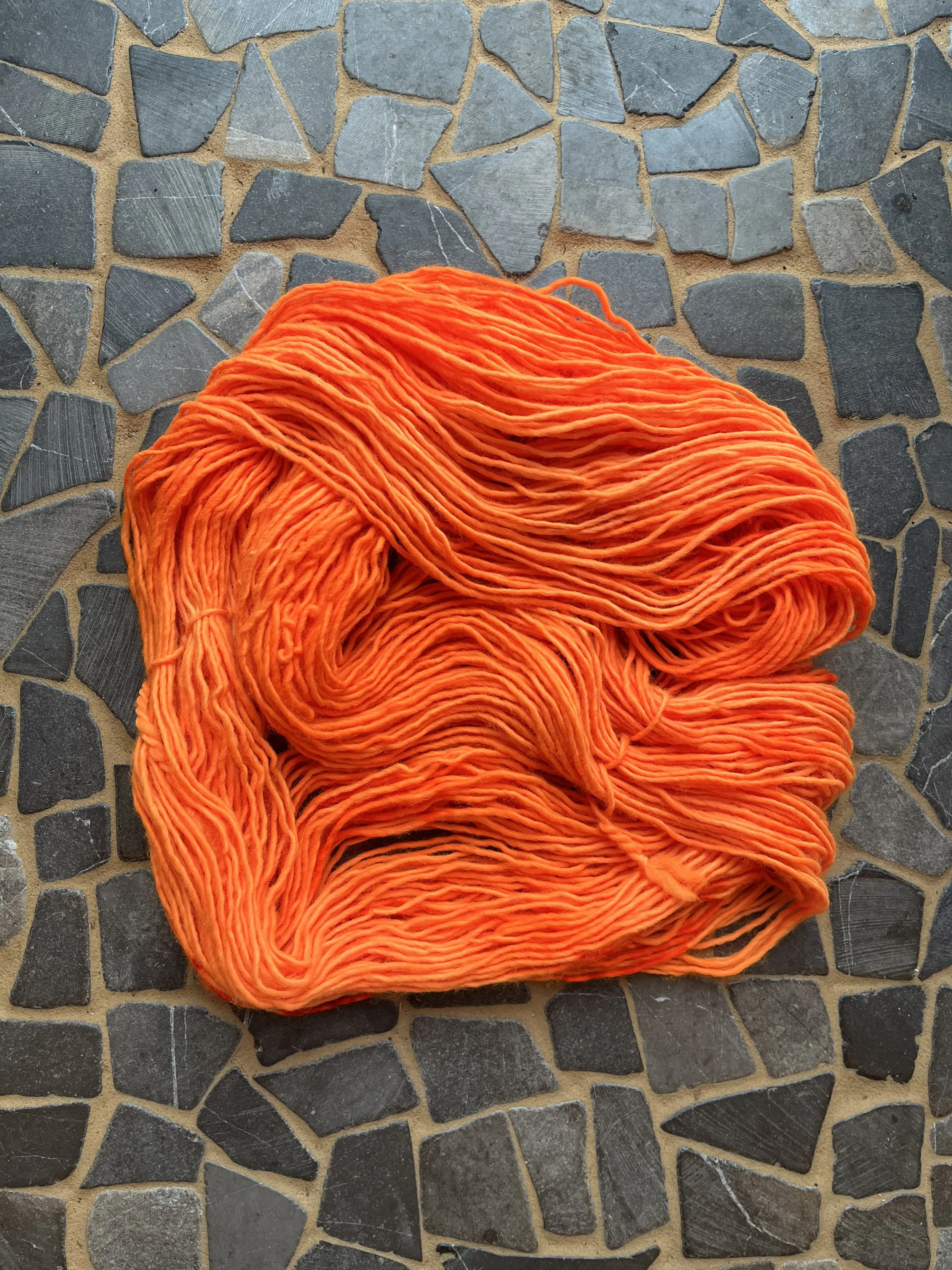 Photo Jan 29 2026, 10 26 22 AM.jpg