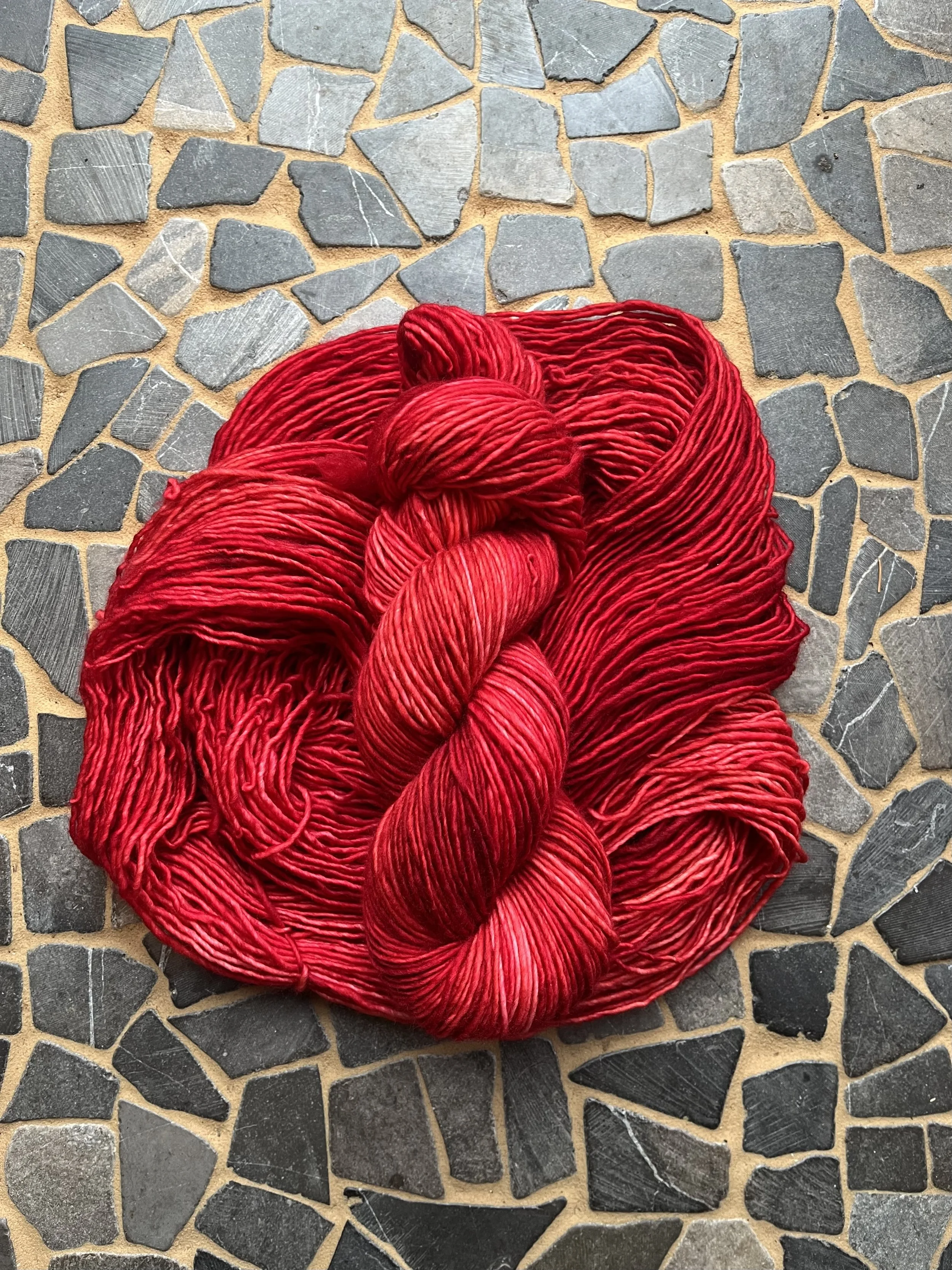 Photo Jan 29 2026, 10 40 17 AM.jpg