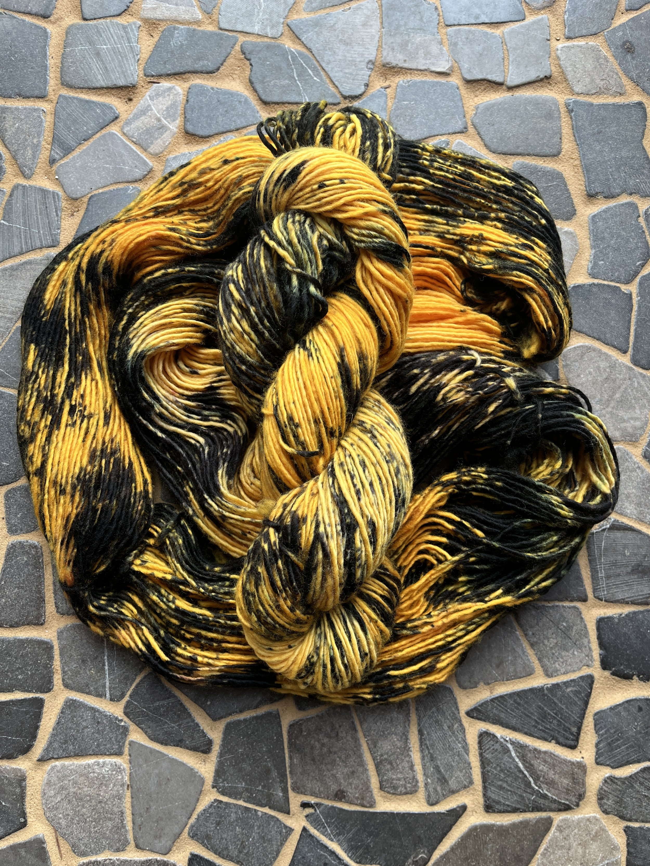 Photo Feb 18 2026, 2 31 37 PM.jpg