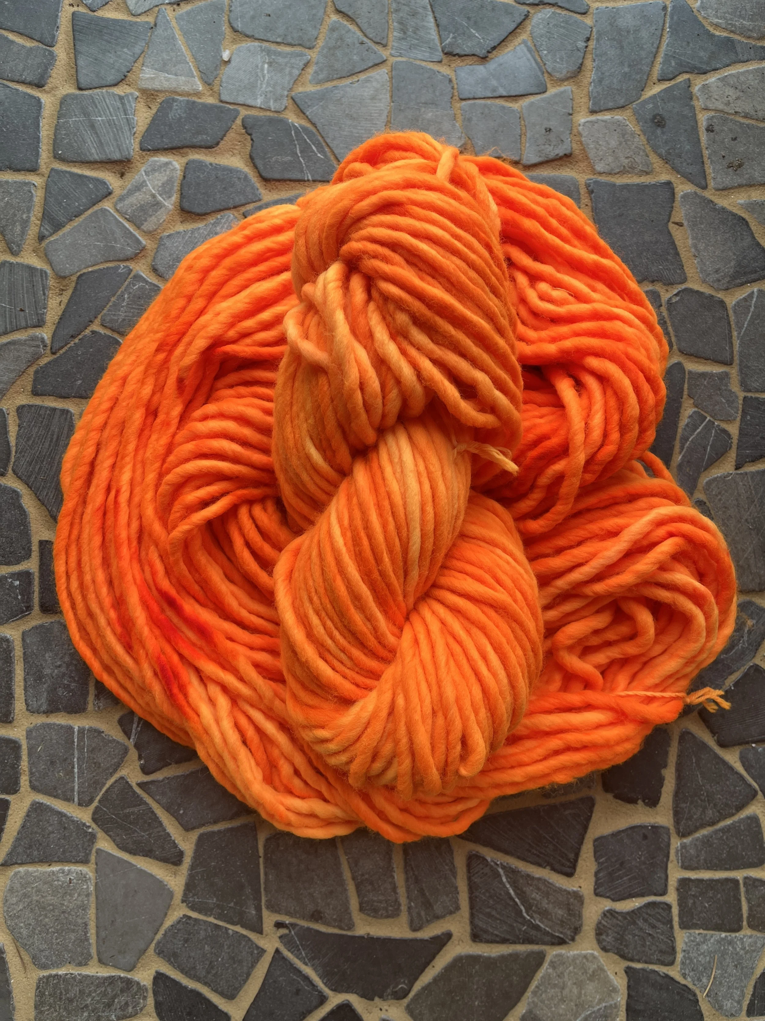 Photo Feb 24 2026, 12 21 00 PM.jpg