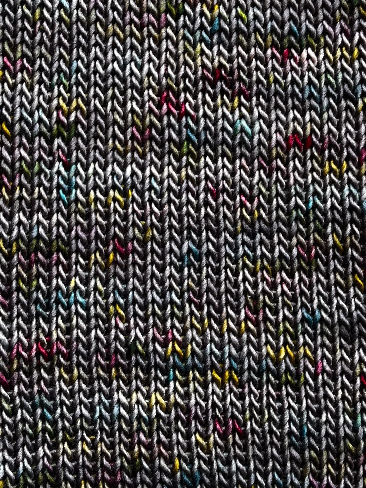 Photo Mar 18 2026, 9 06 01 AM.jpg