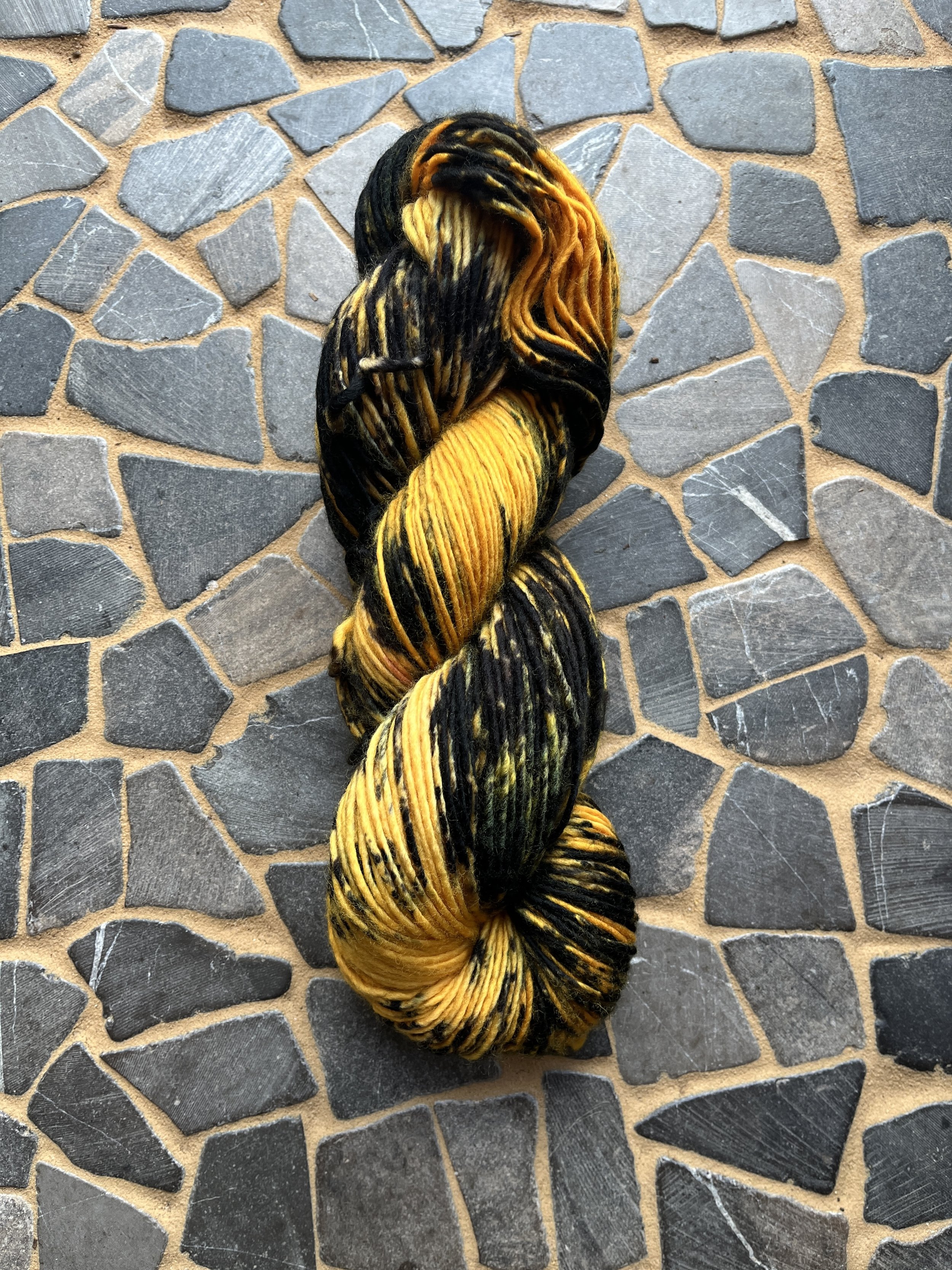 Photo Feb 18 2026, 2 32 15 PM.jpg