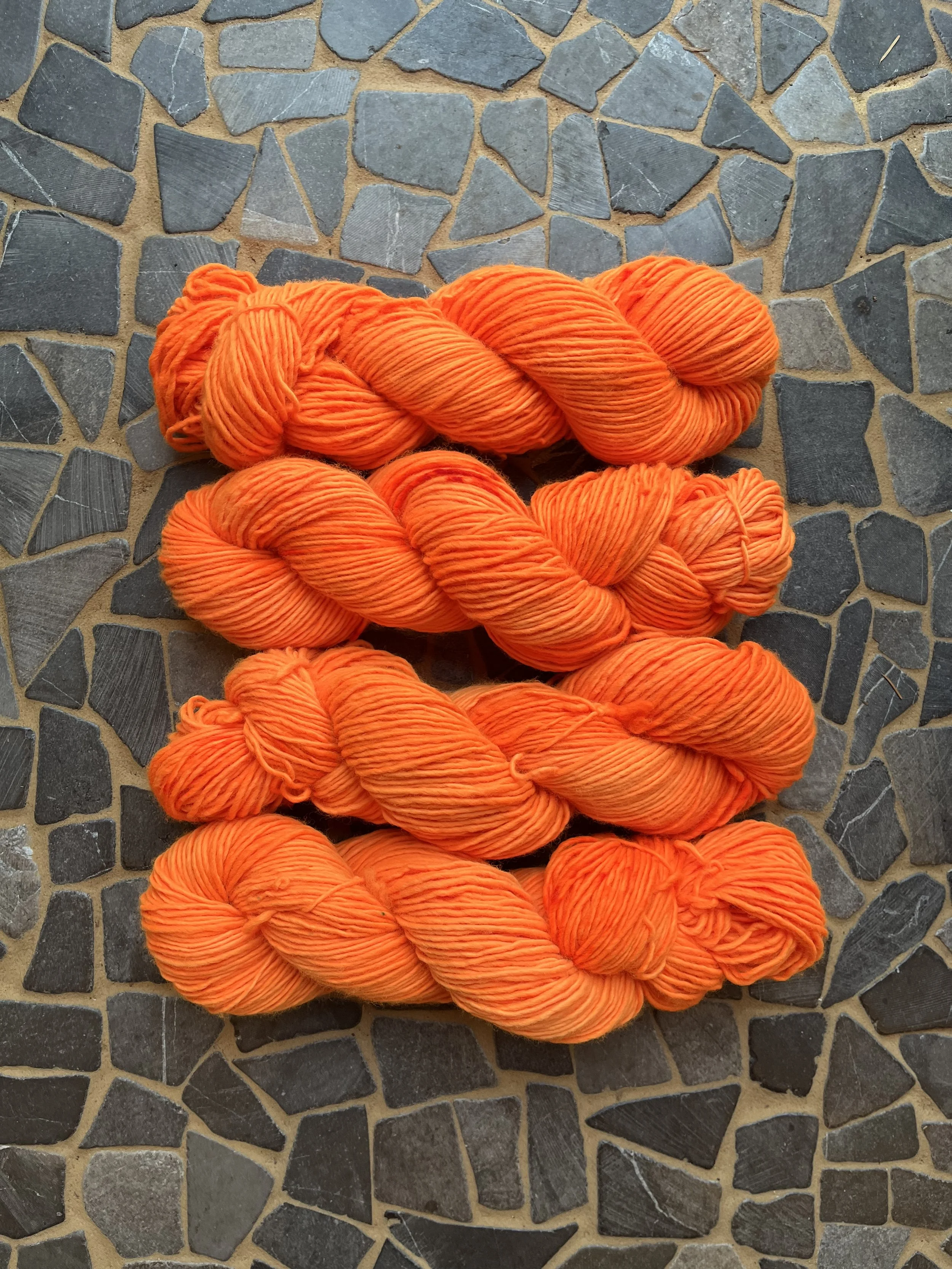 Photo Jan 29 2026, 10 29 42 AM.jpg