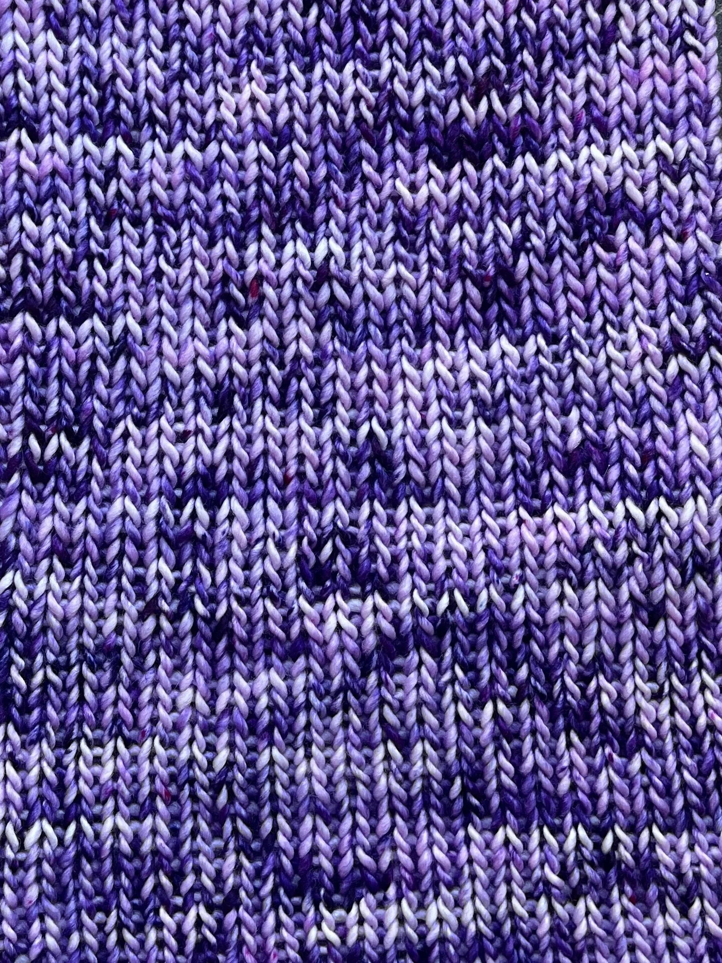 Photo Feb 25 2026, 12 41 39 PM.jpg