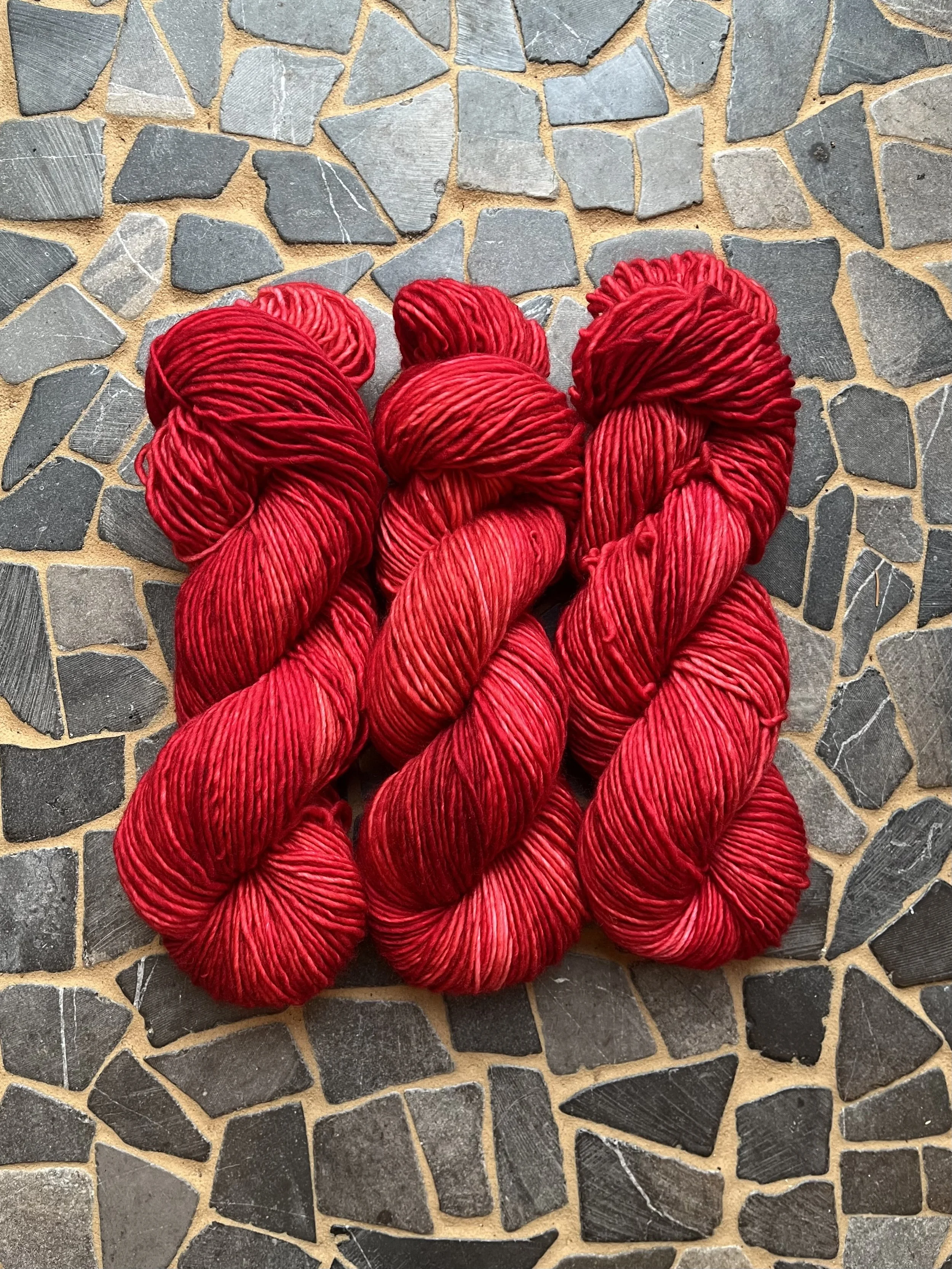 Photo Jan 29 2026, 10 42 20 AM.jpg