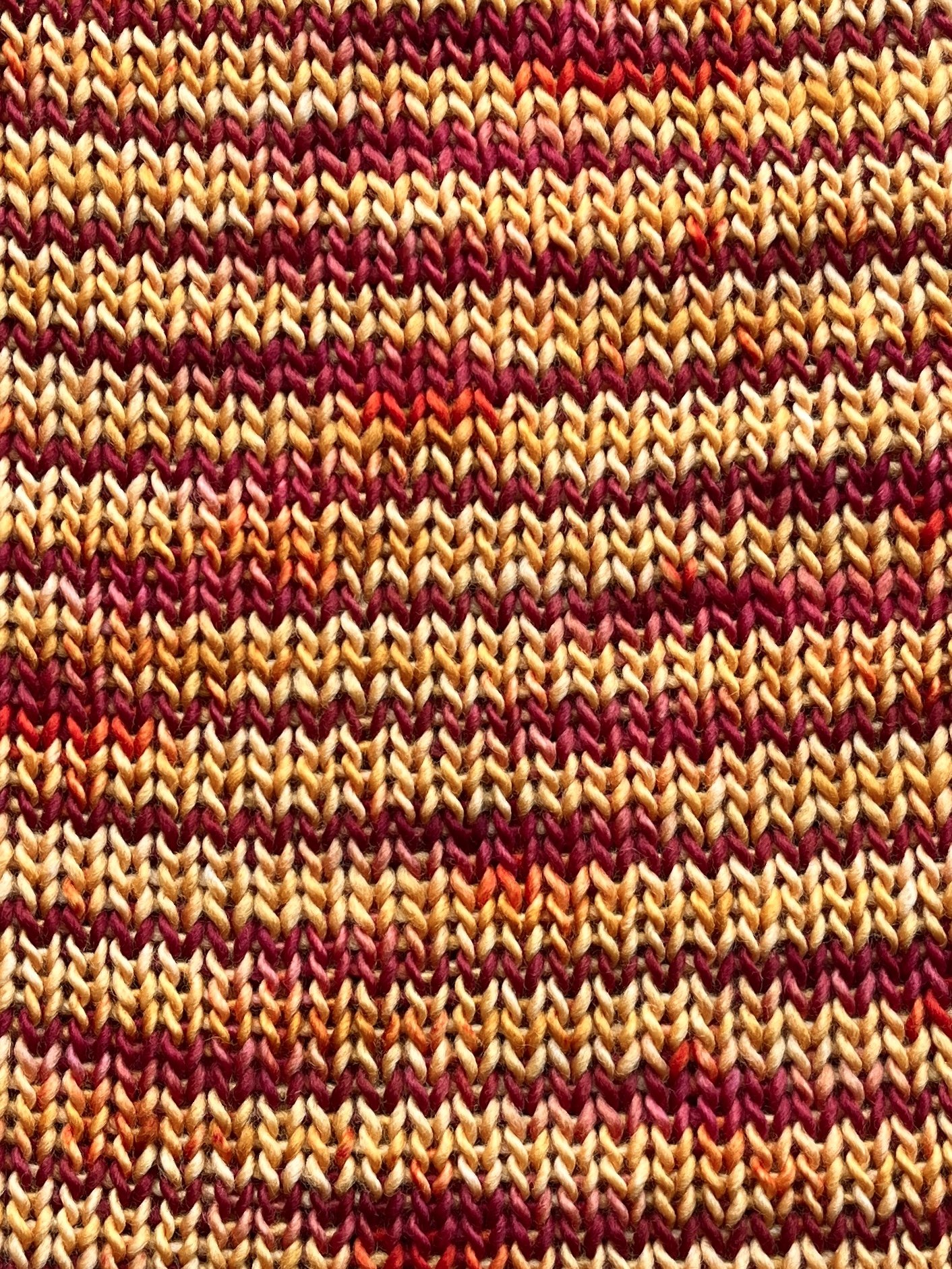 Photo Feb 18 2026, 12 41 33 PM.jpg