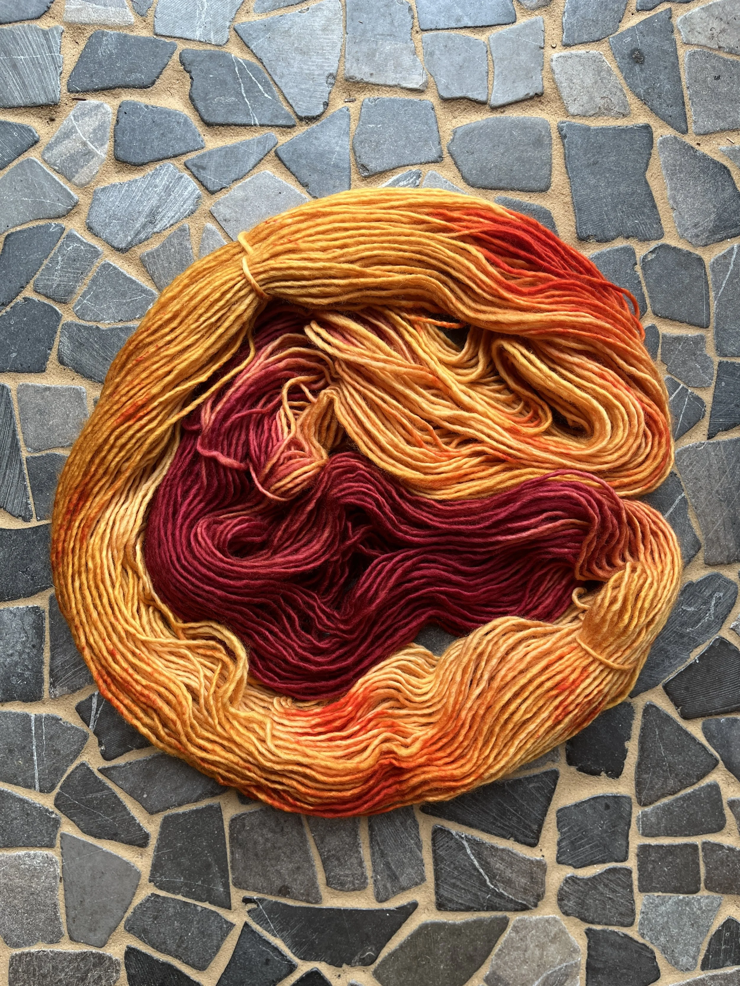 Photo Feb 18 2026, 11 15 47 AM.jpg