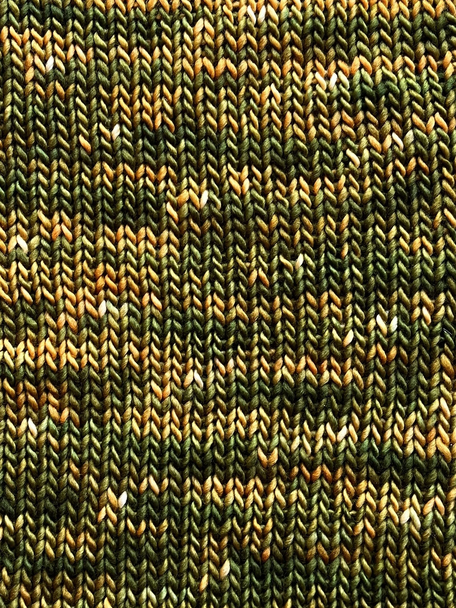 Photo Mar 27 2026, 11 19 08 AM.jpg