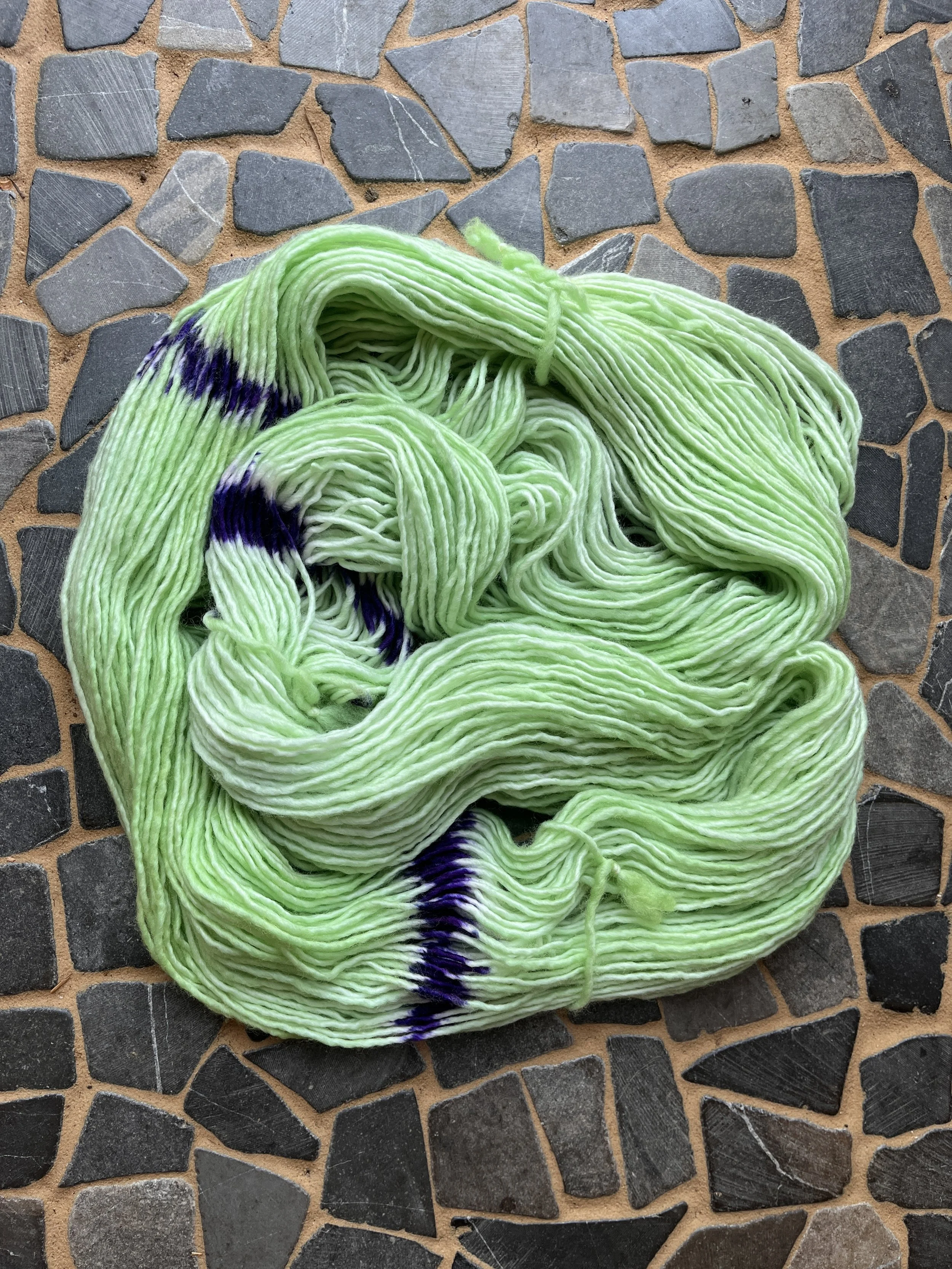 Photo Mar 04 2026, 12 26 31 PM.jpg