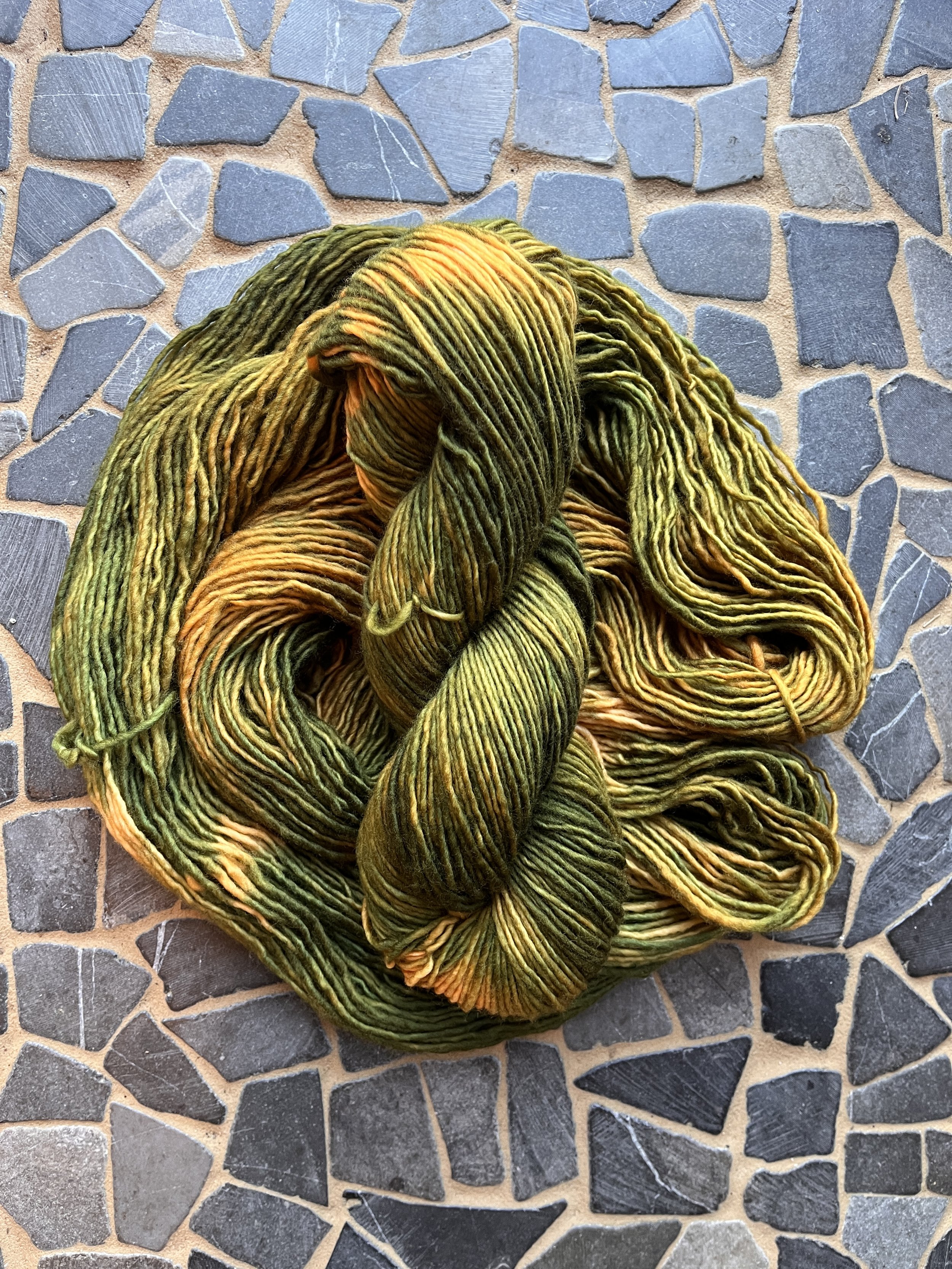 Photo Mar 27 2026, 11 21 16 AM.jpg