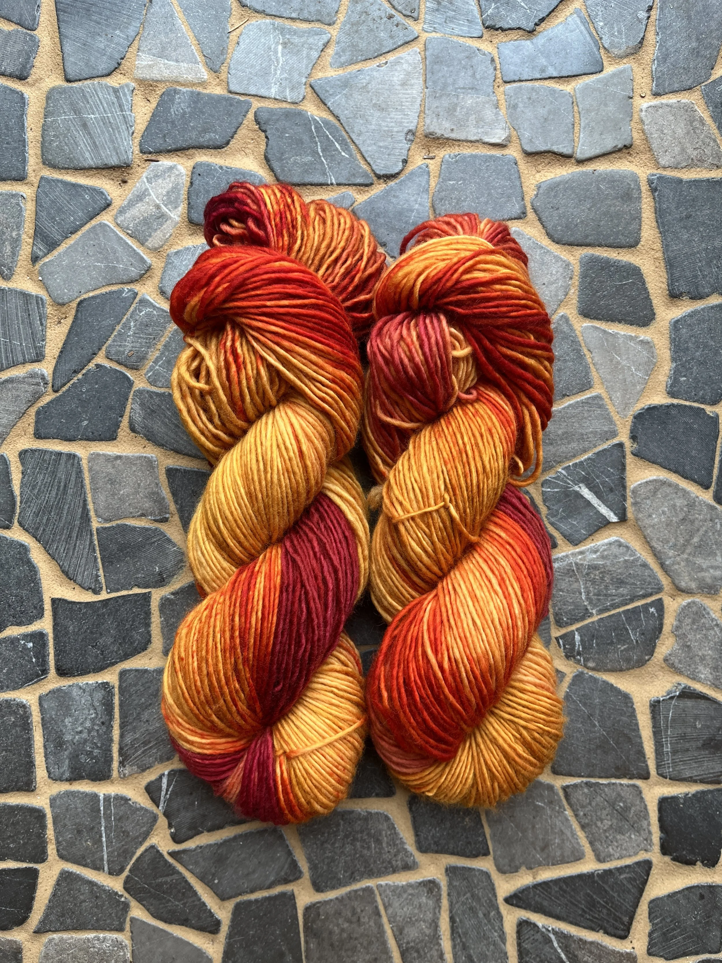 Photo Feb 18 2026, 11 25 04 AM.jpg