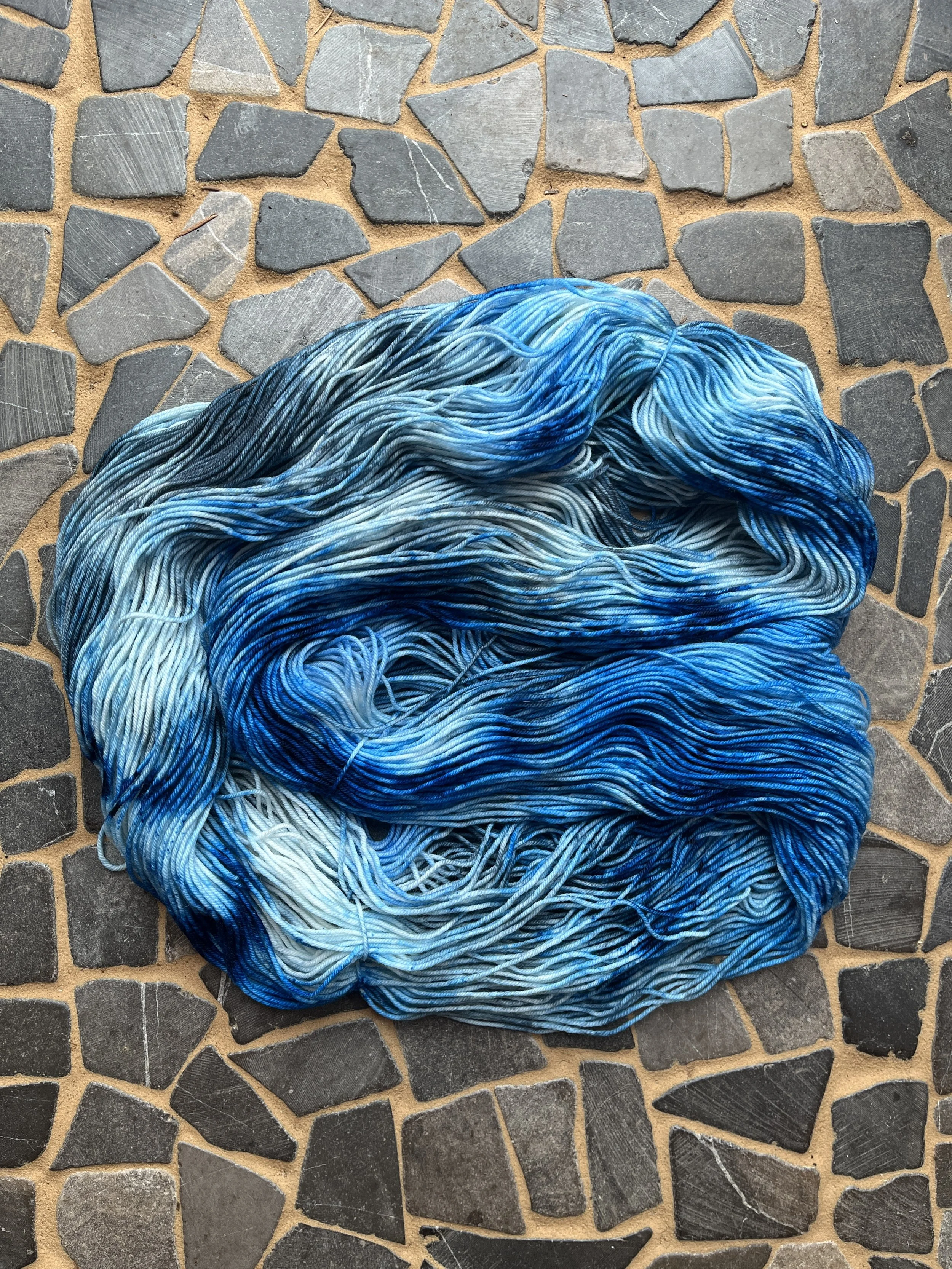 Photo Feb 18 2026, 11 10 48 AM.jpg