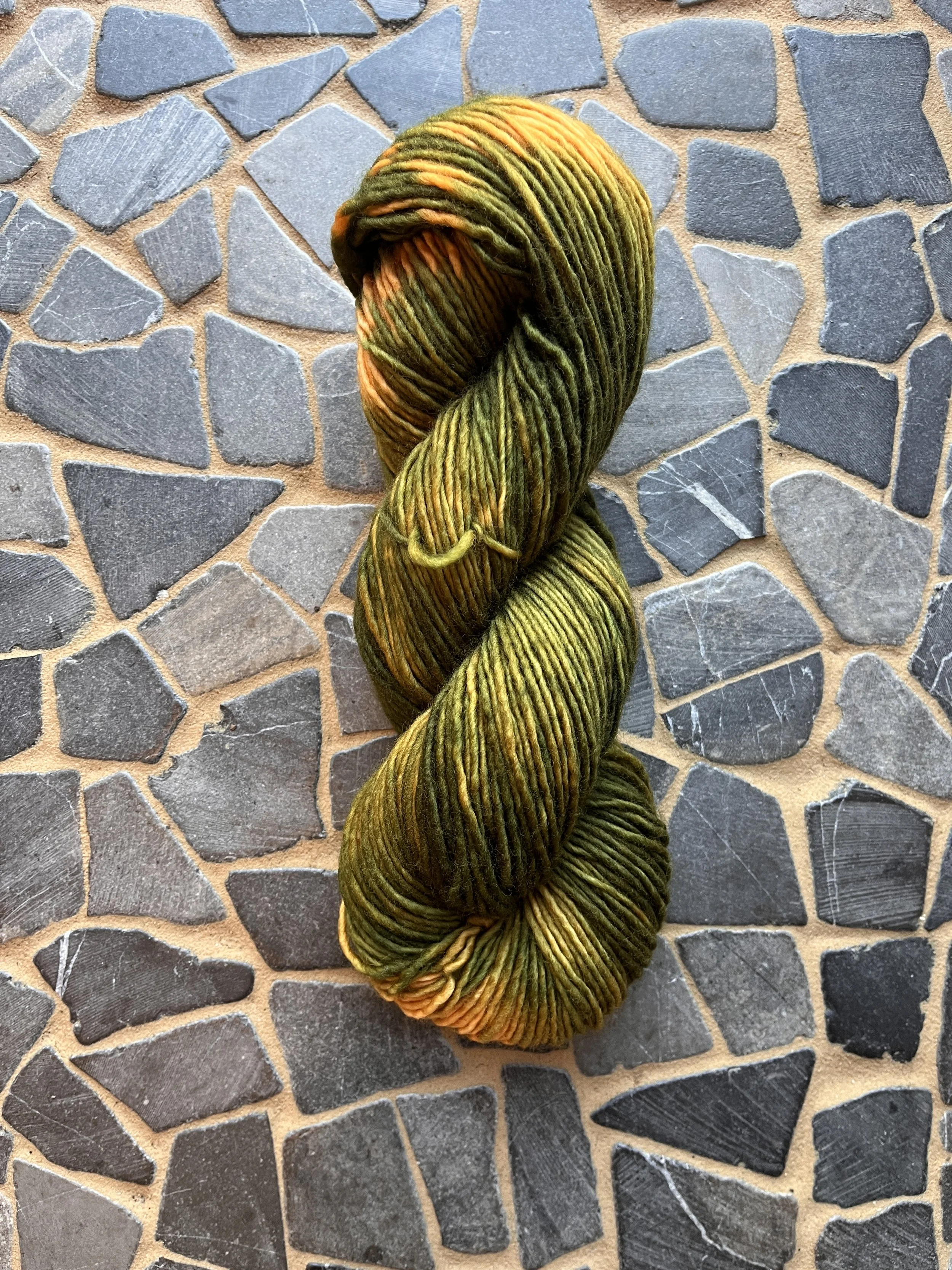 Photo Mar 27 2026, 11 21 34 AM.jpg