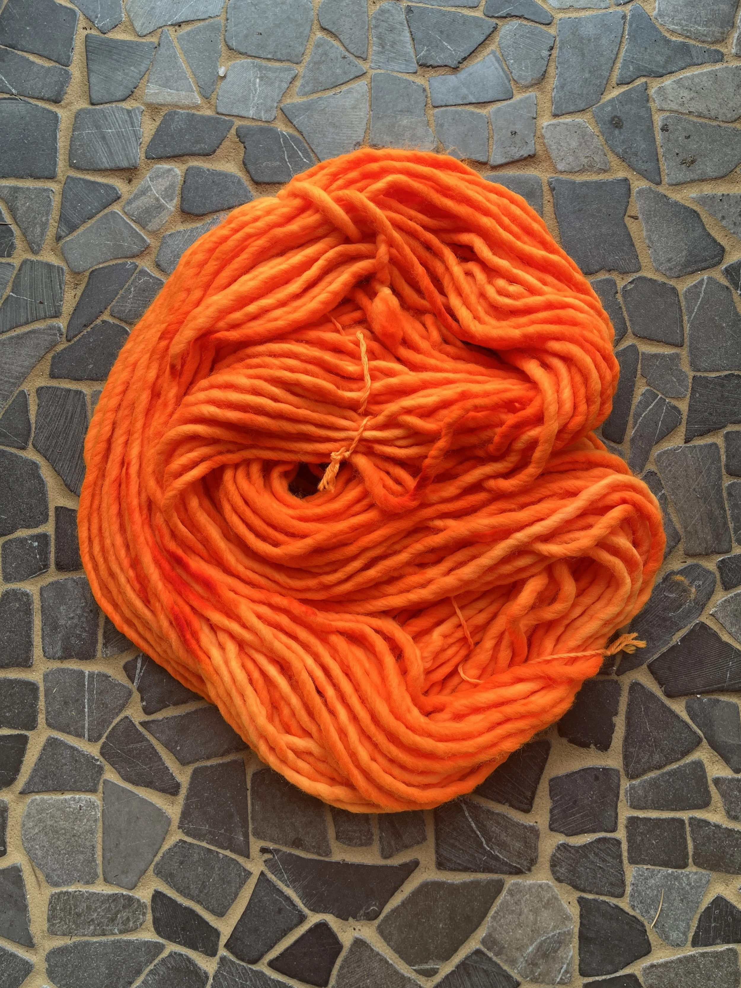 Photo Feb 24 2026, 12 20 19 PM.jpg