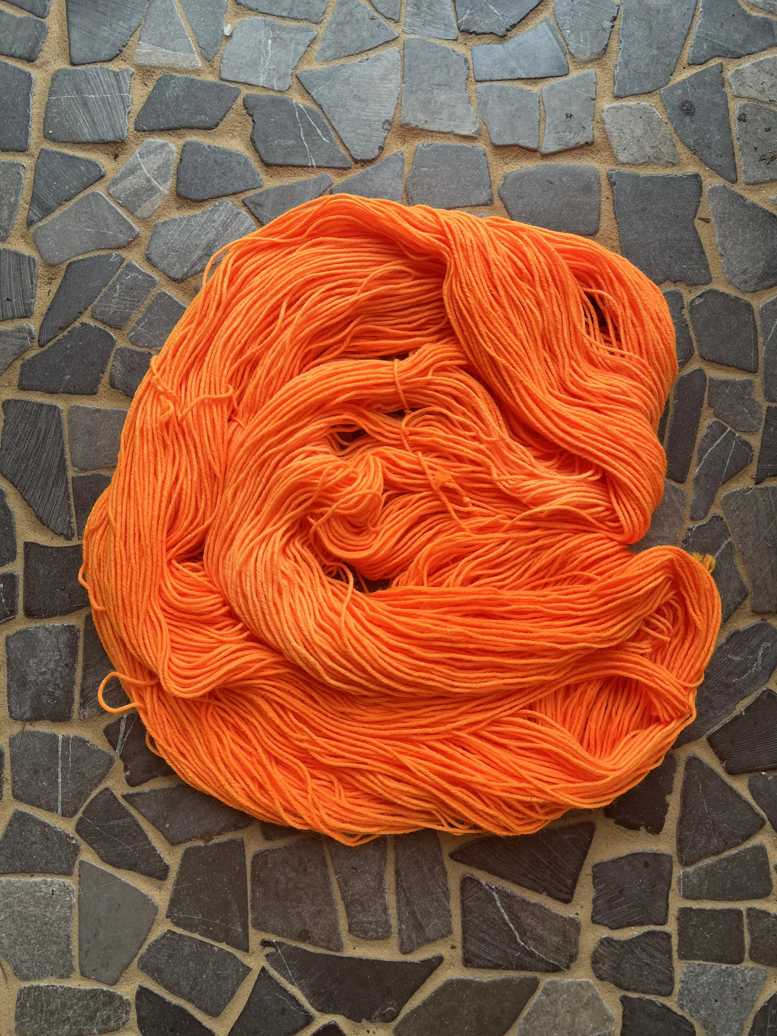 Photo Feb 24 2026, 12 14 55 PM.jpg