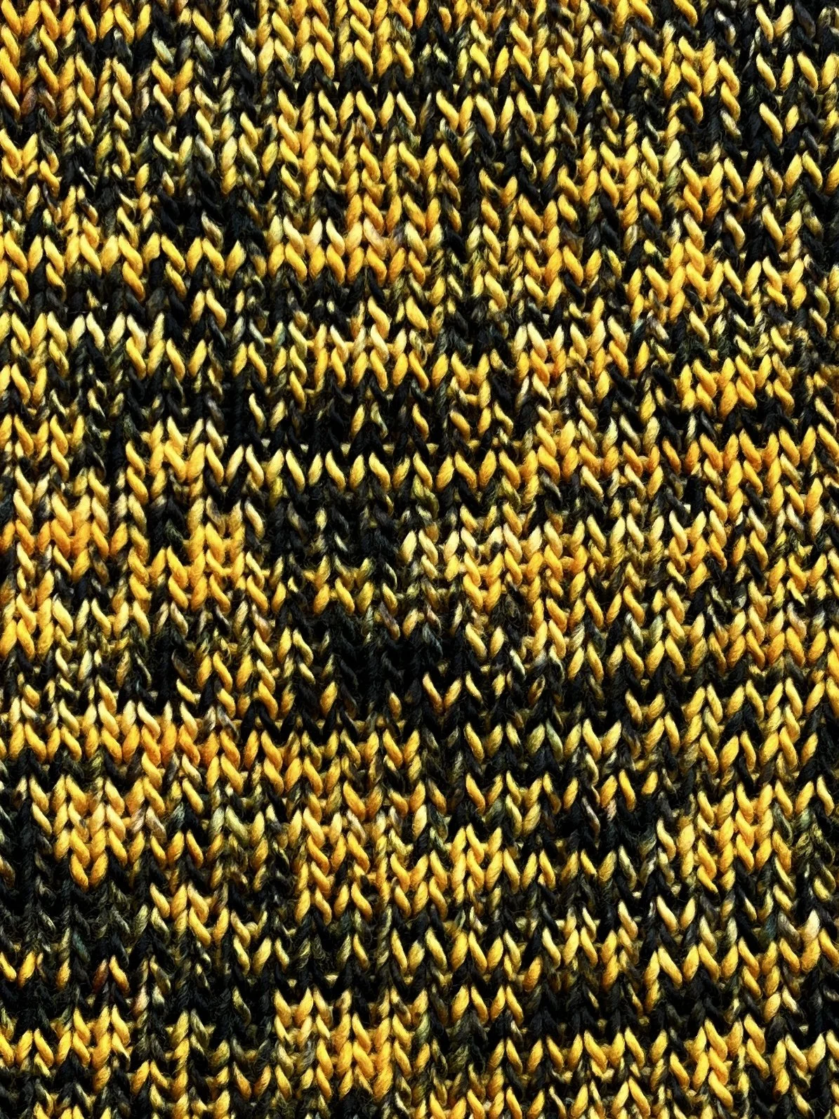 Photo Feb 18 2026, 2 28 15 PM.jpg