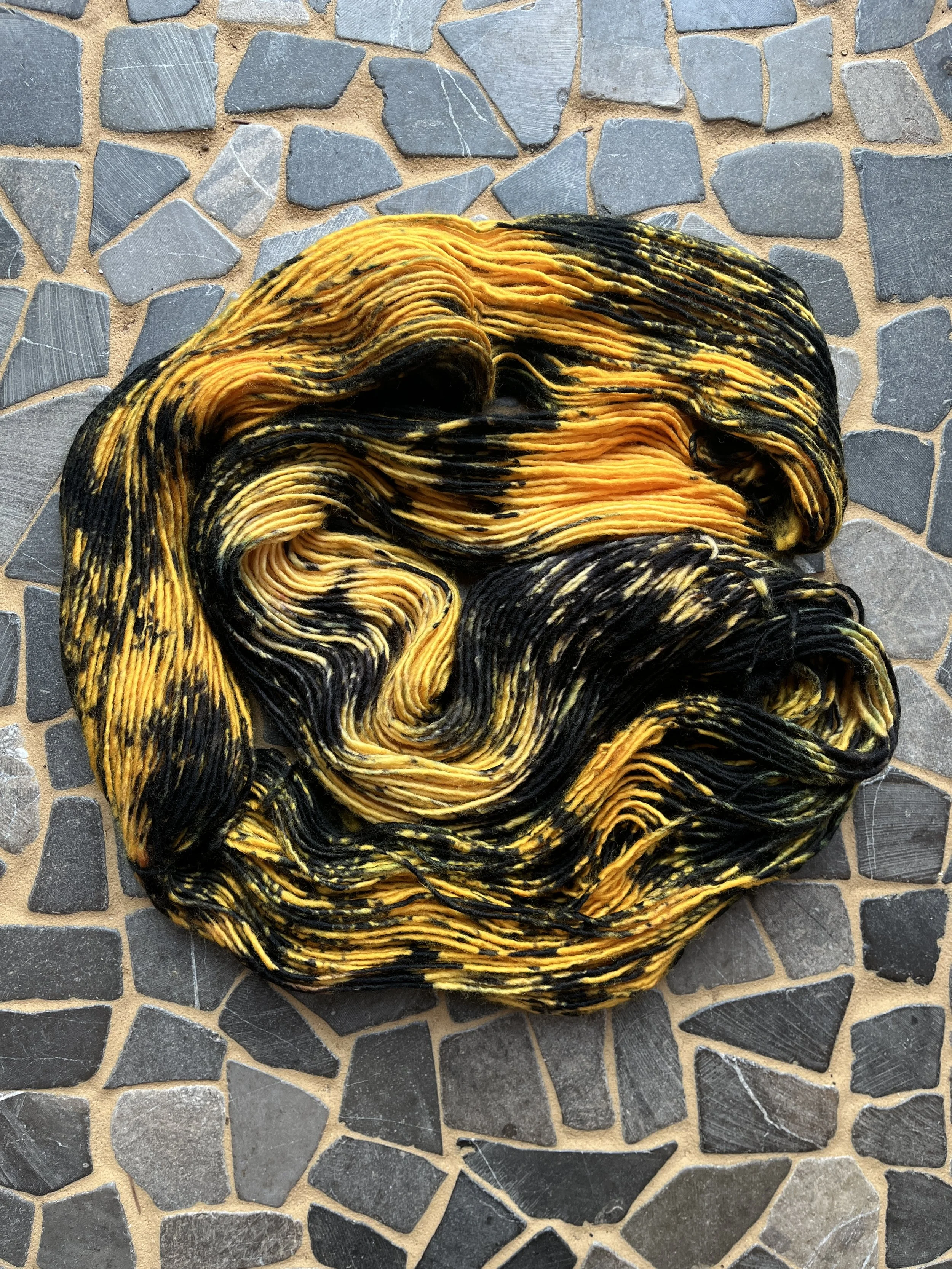 Photo Feb 18 2026, 2 30 18 PM.jpg