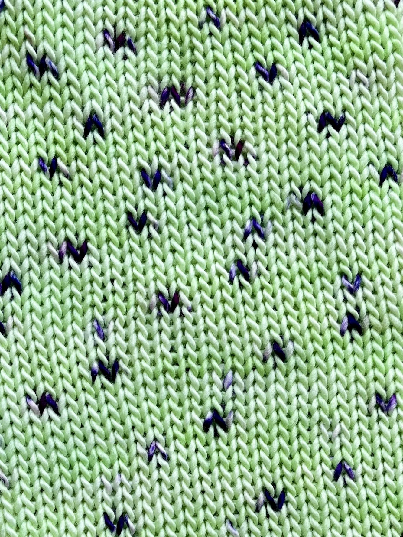 Photo Mar 04 2026, 12 36 13 PM.jpg