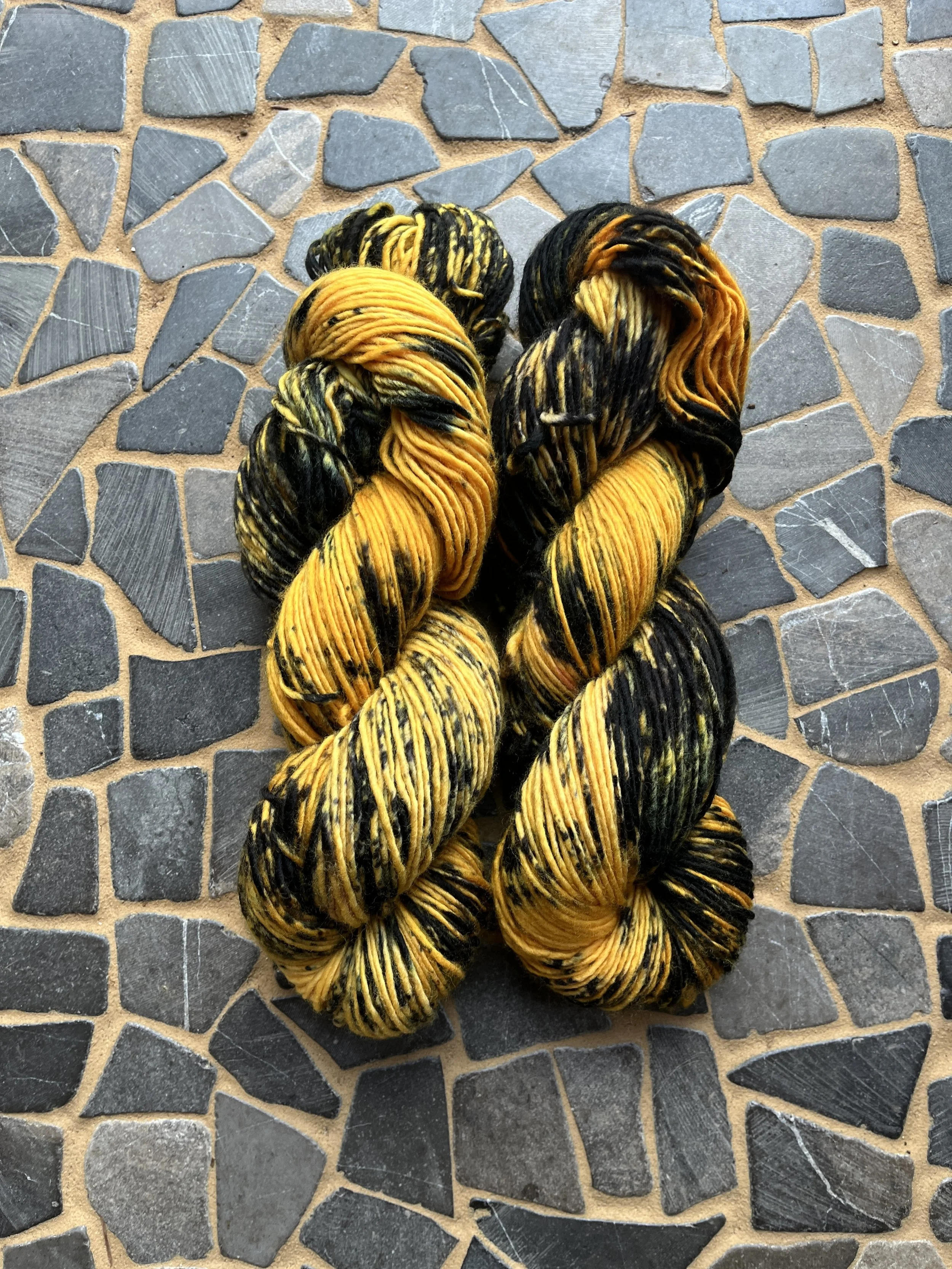 Photo Feb 18 2026, 2 32 22 PM.jpg