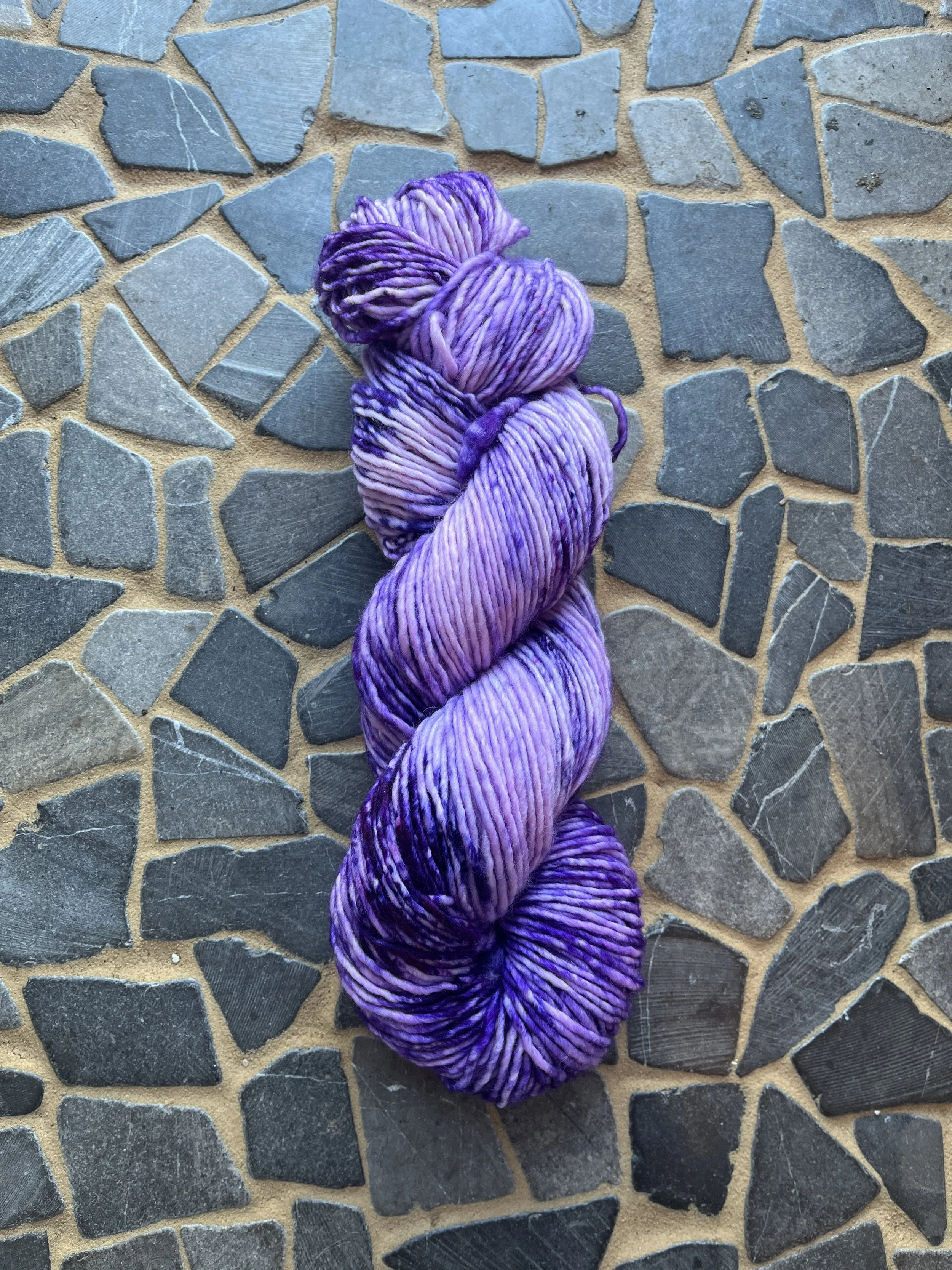 Photo Feb 25 2026, 12 00 51 PM.jpg