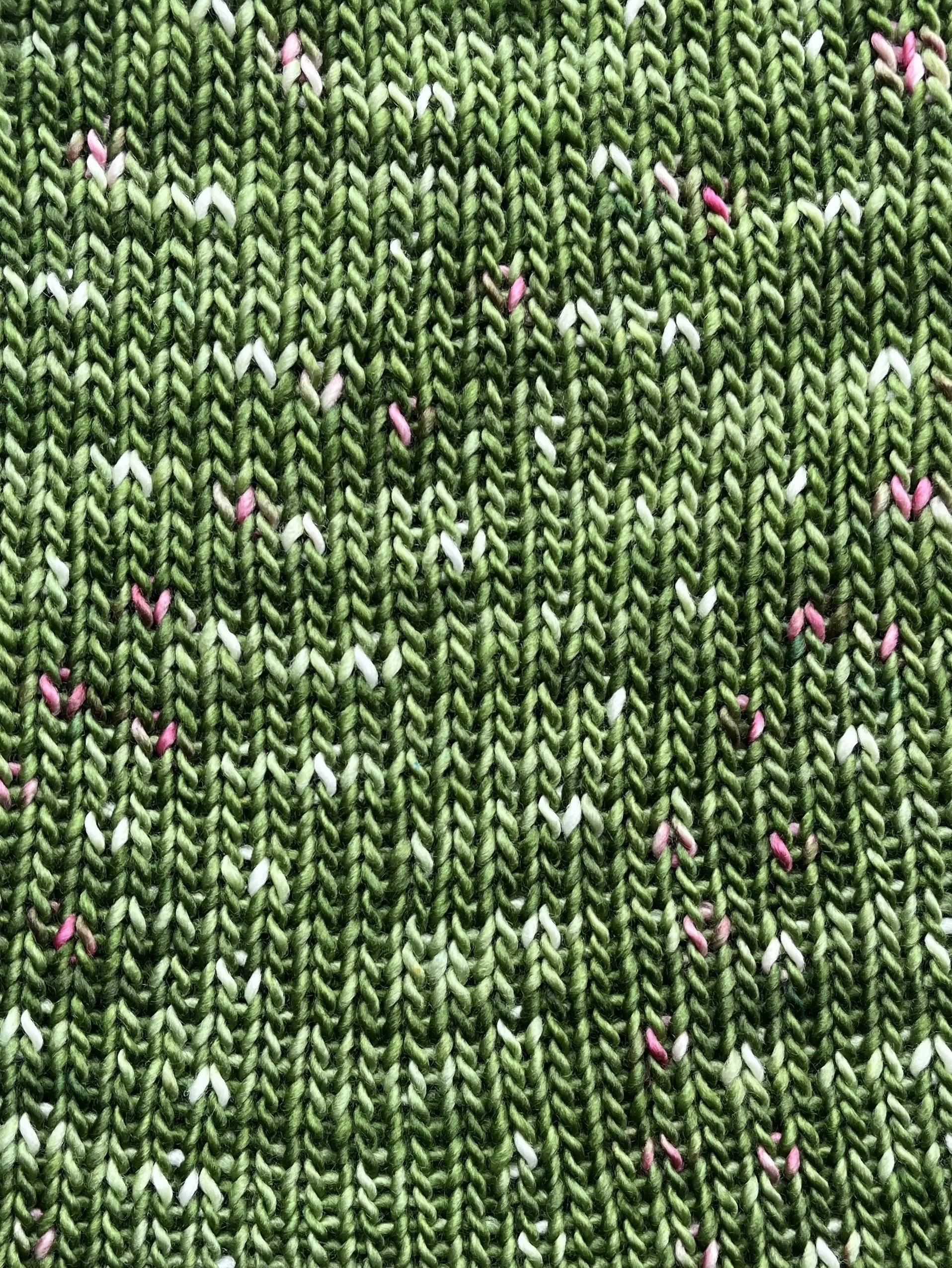 Photo Feb 13 2026, 2 20 12 PM.jpg