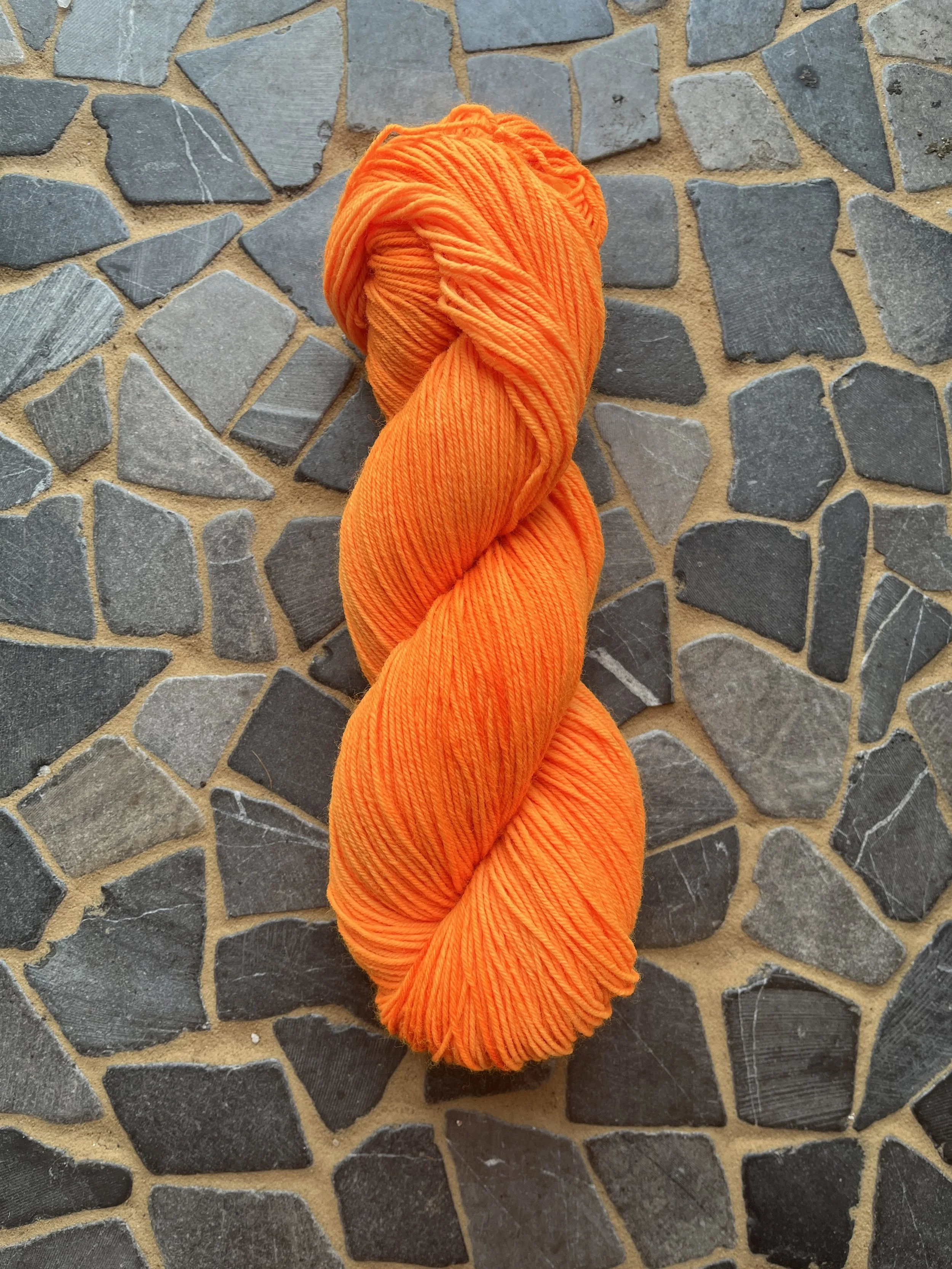 Photo Feb 24 2026, 12 15 19 PM.jpg