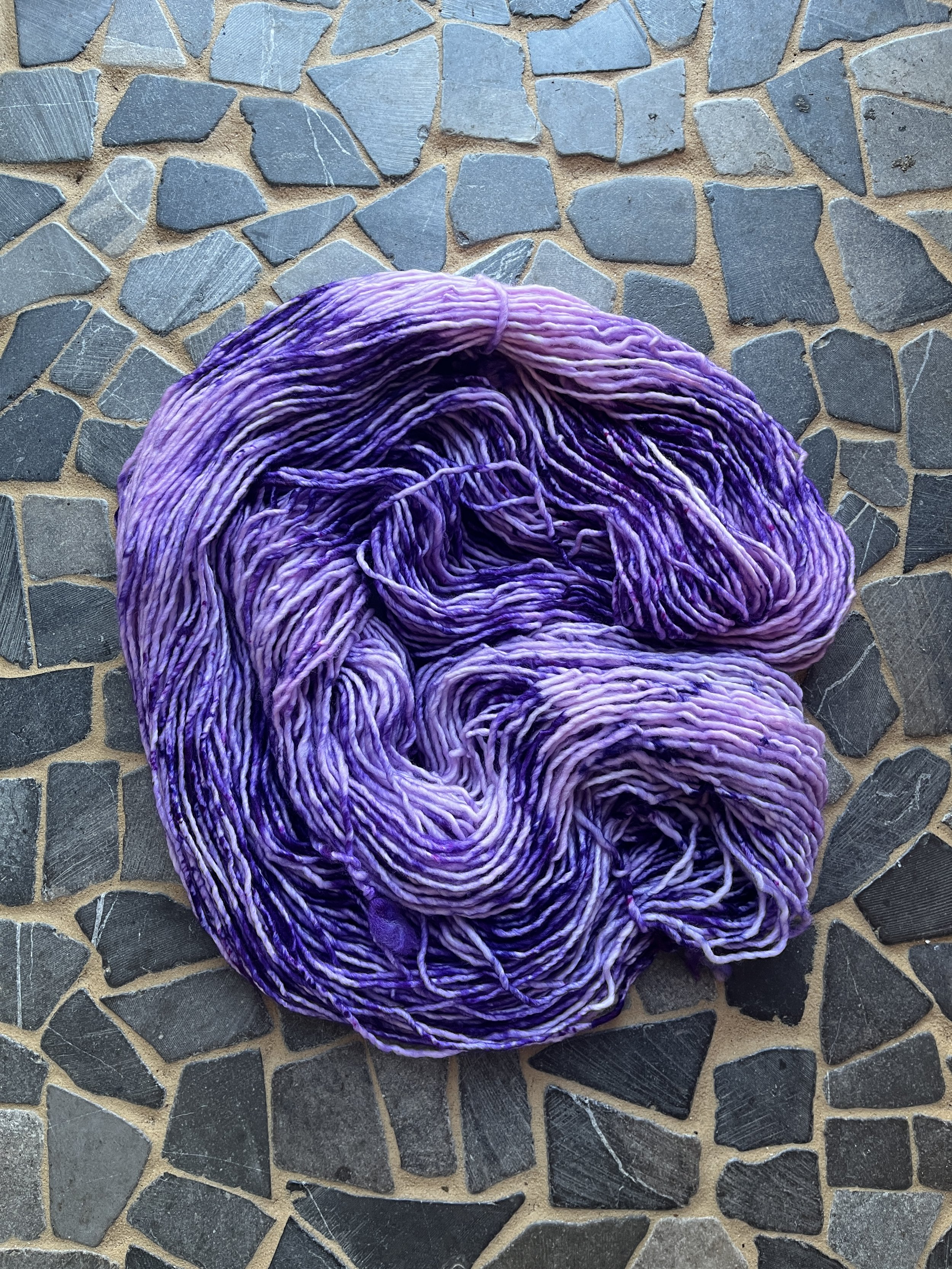 Photo Feb 25 2026, 11 59 04 AM.jpg