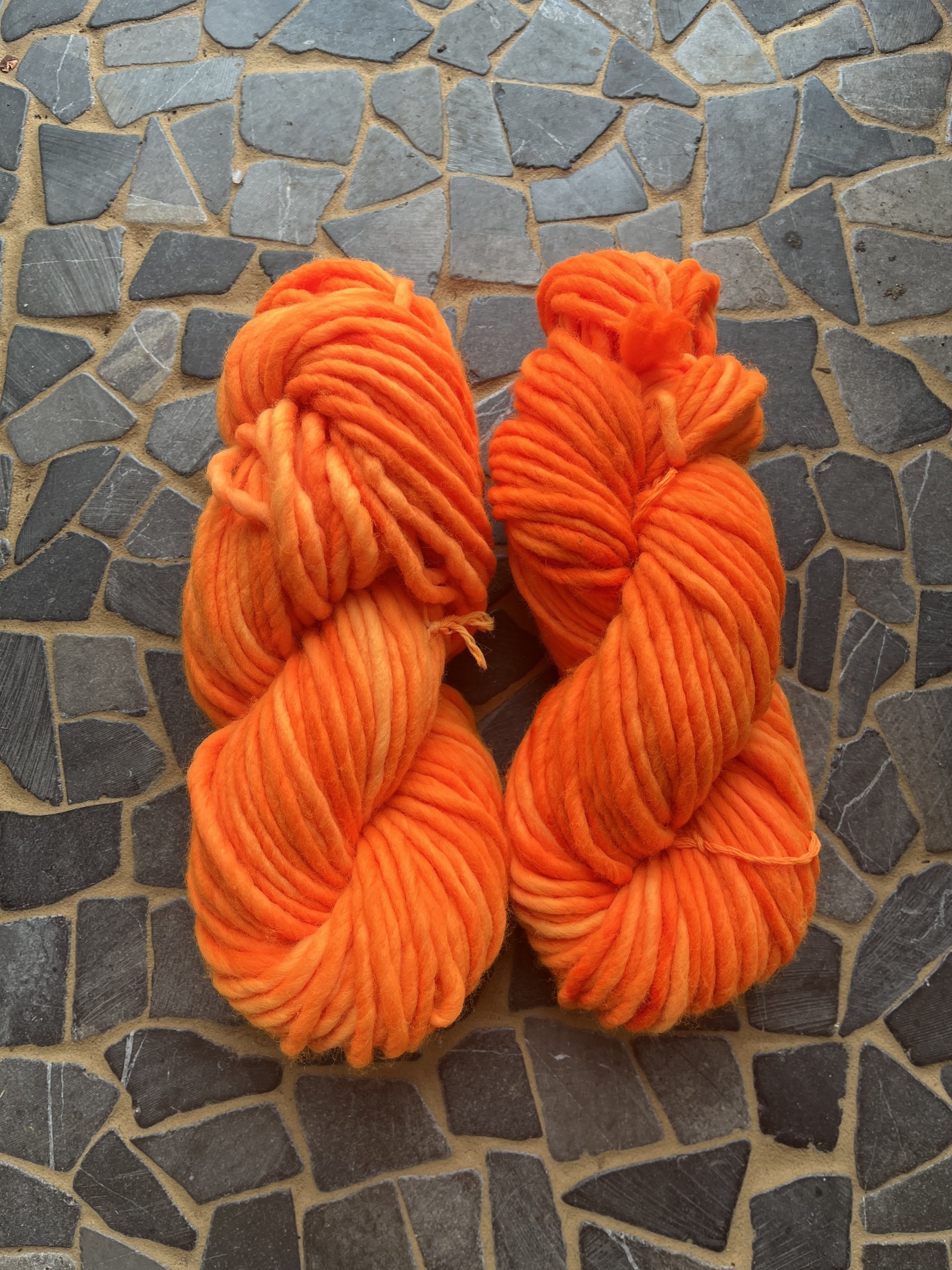 Photo Feb 24 2026, 12 21 56 PM.jpg