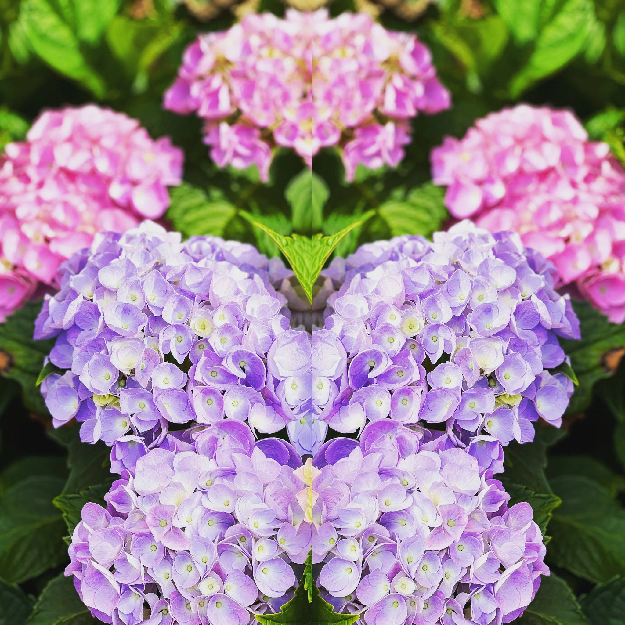 Garden-of-Unearthly-Delight_ - 1.jpg