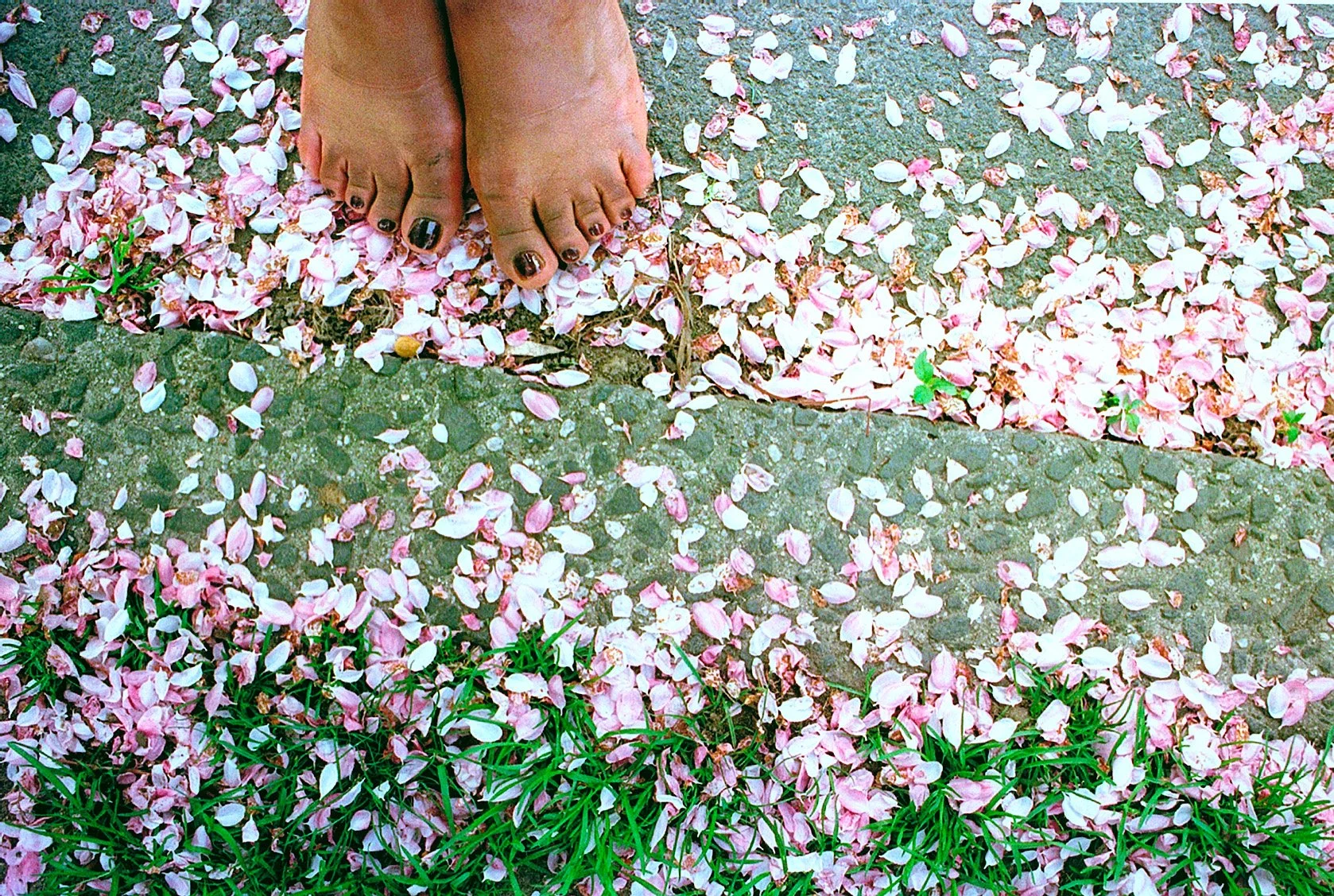 NatureGirl_BBG_PetalToes .jpg