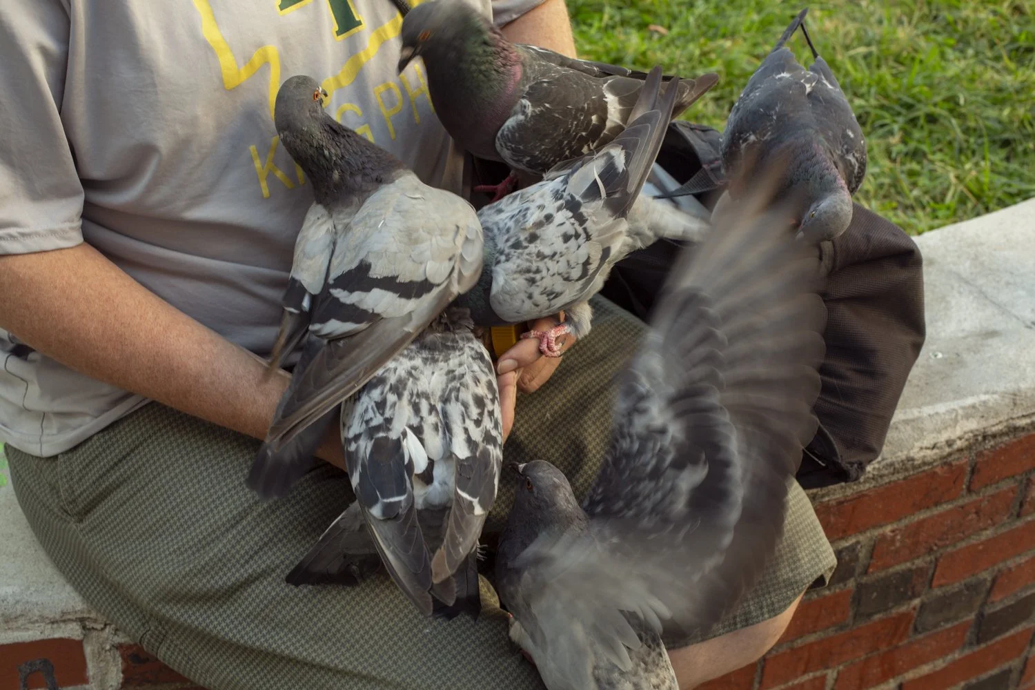 _W8A9180-Edit copy.jpg