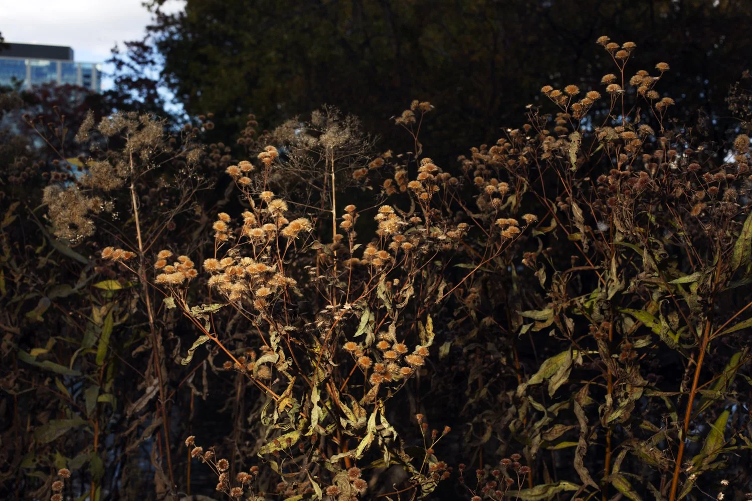 _W8A9492-Edit copy.jpg