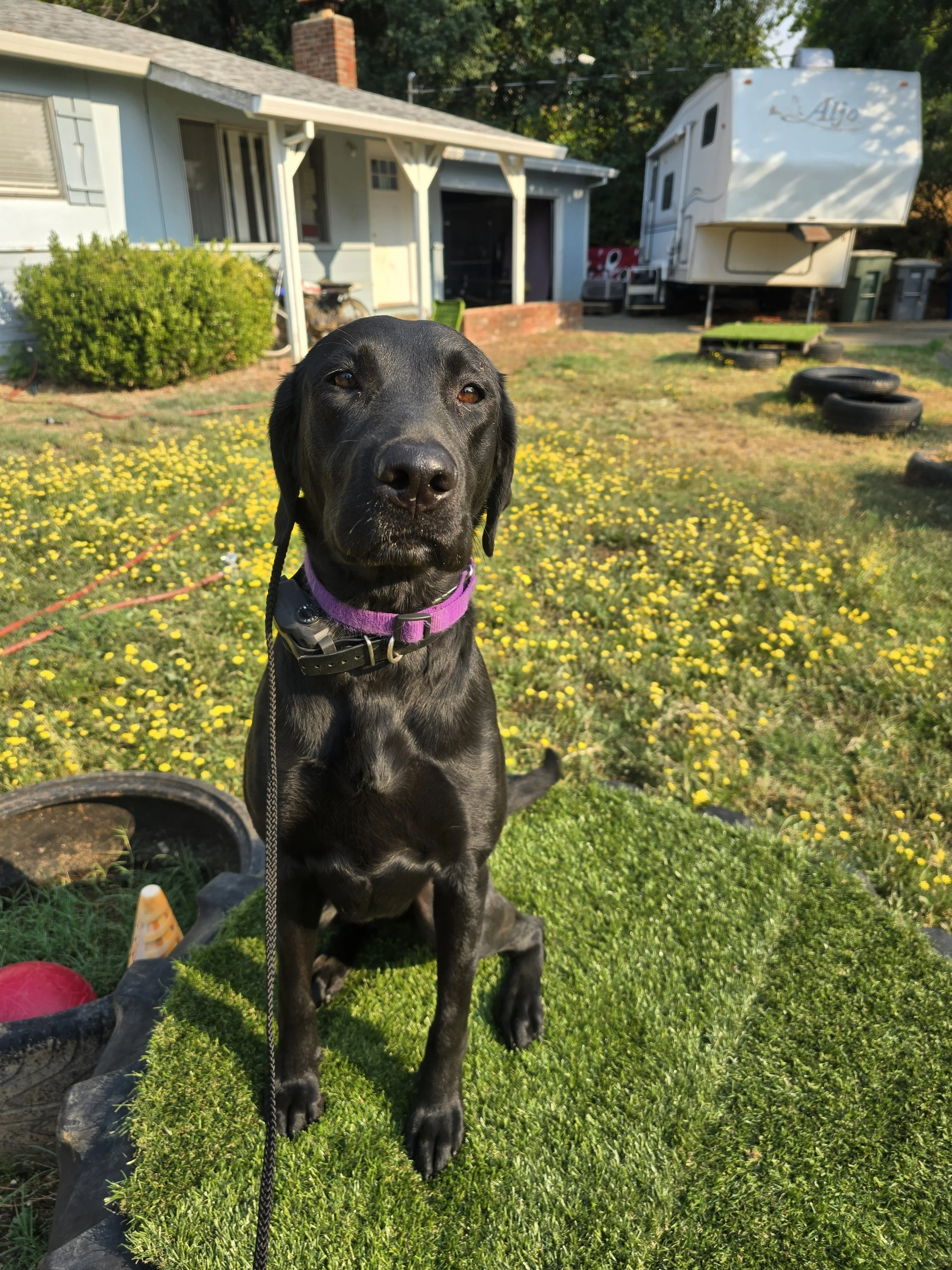 99dd3995-9e2f-42bf-b774-73875a1654df-1_all_124871.jpg