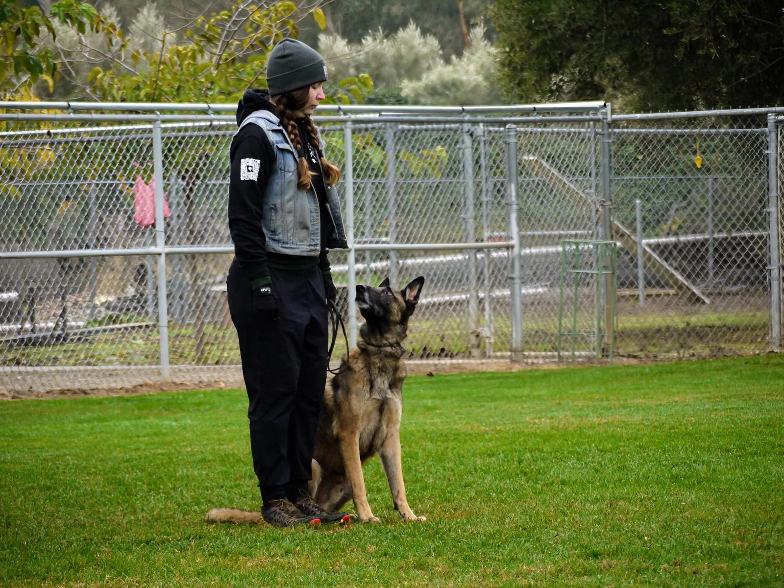 1000077114.jpg