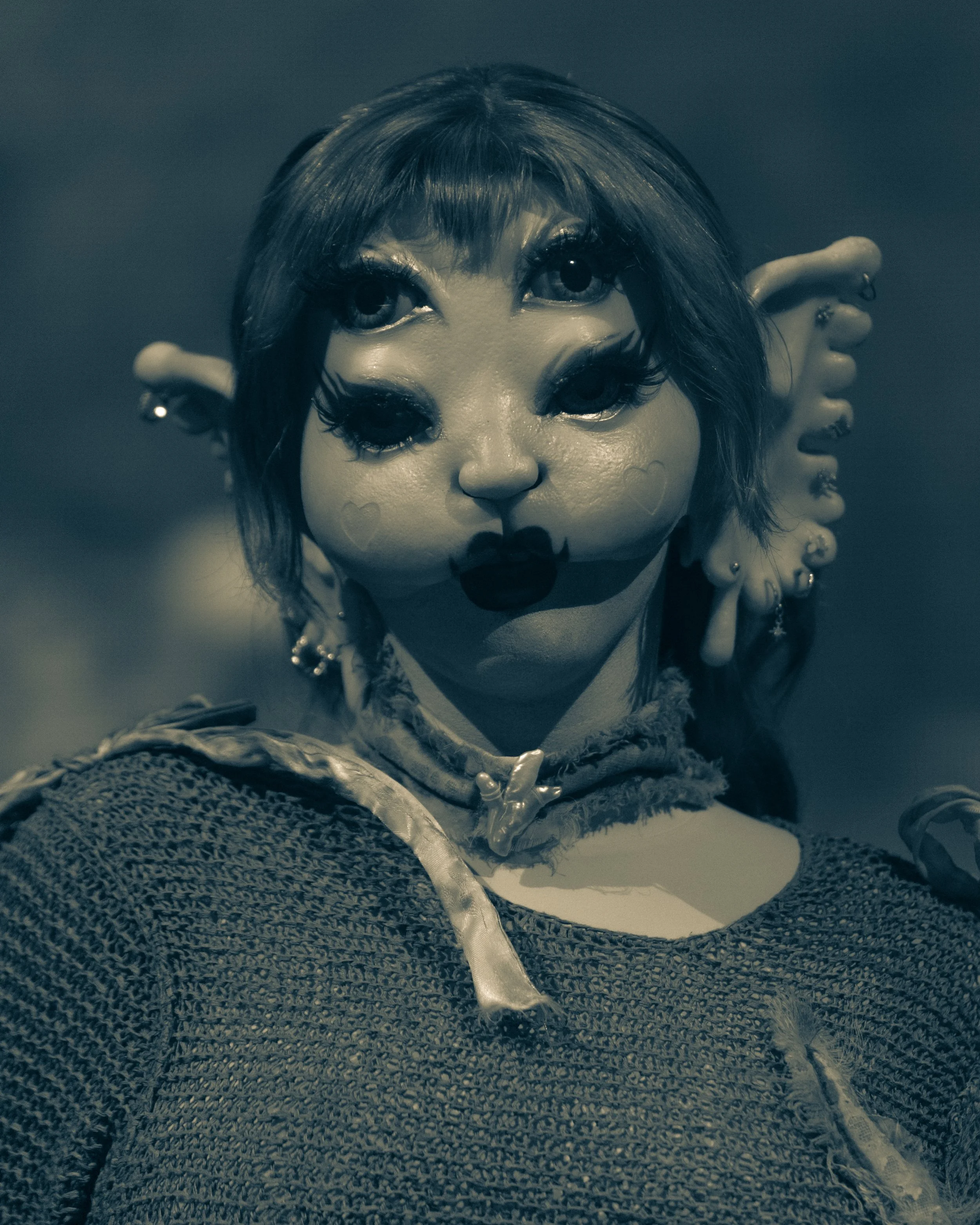 DSC03865.jpg