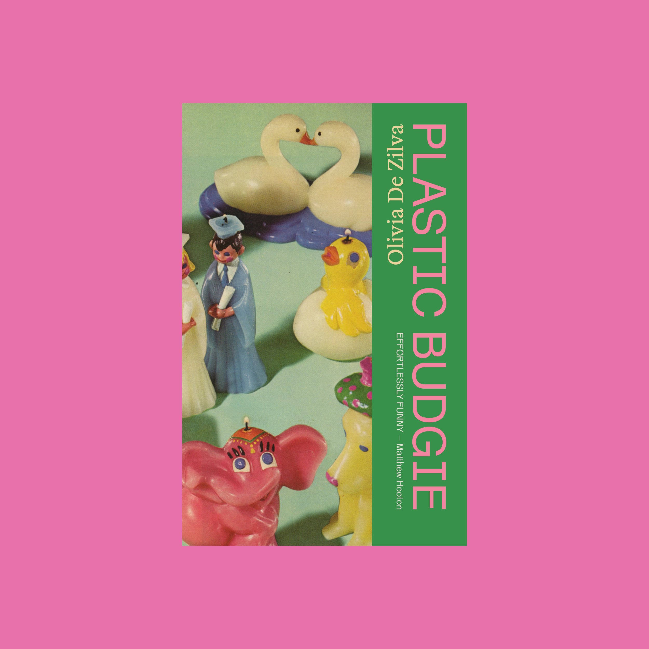 Plastic Budgie for web.jpg